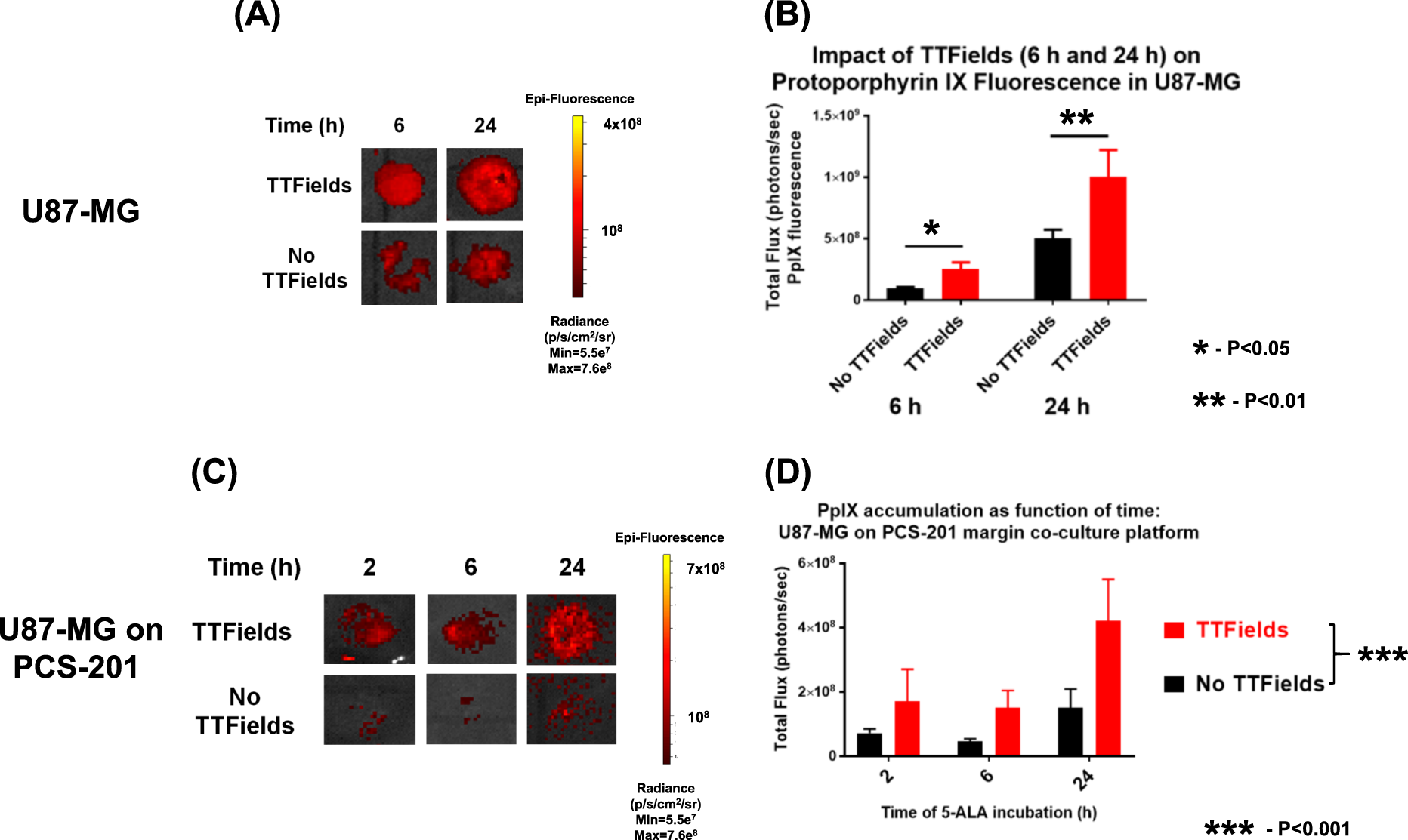 Fig. 4: Effect of TTFields on 5-aminolevulinic acid (5-ALA) uptake as shown.