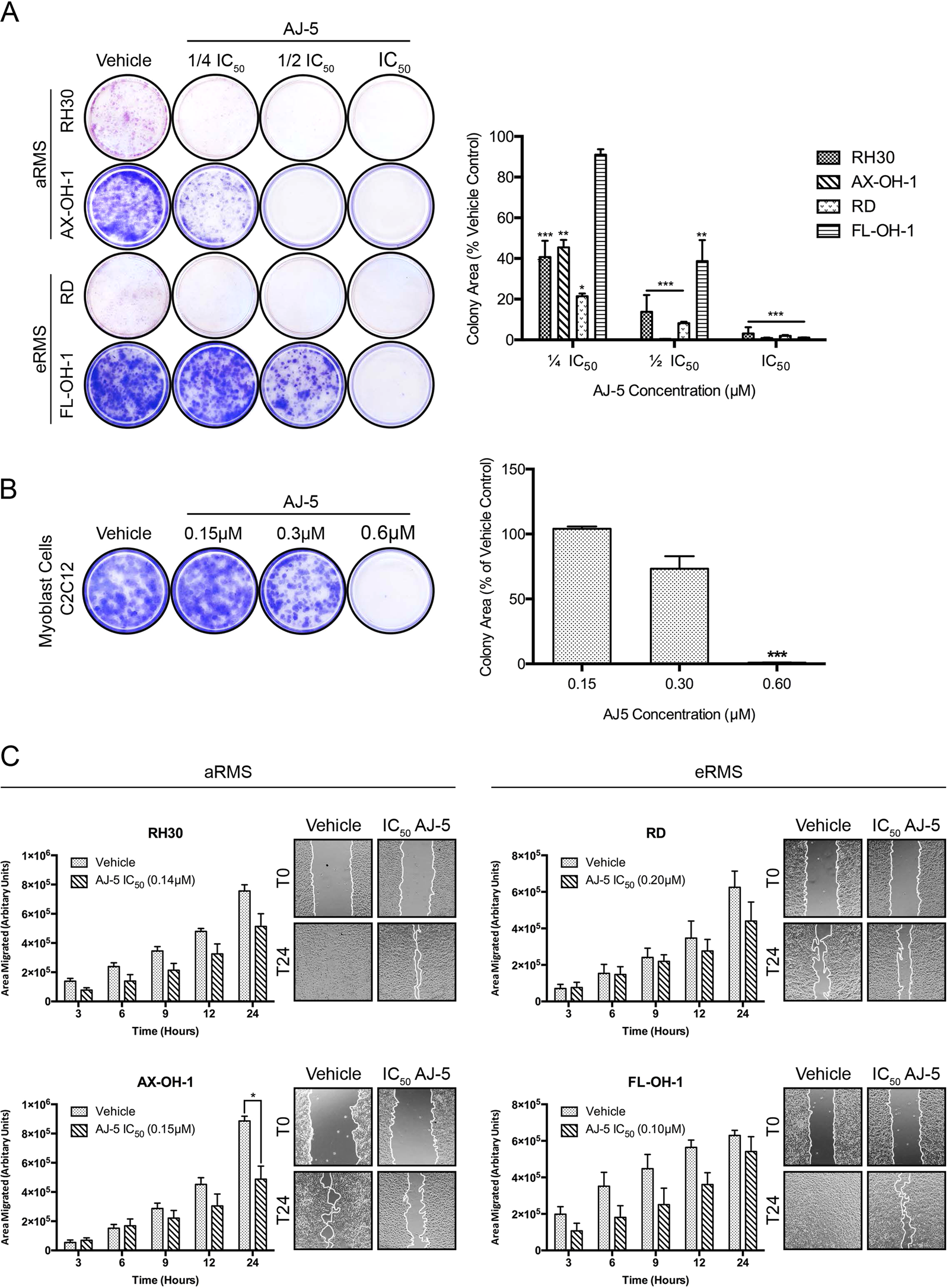 Fig. 2: AJ-5 inhibits the ability of RMS cells to survive, proliferate and migrate.