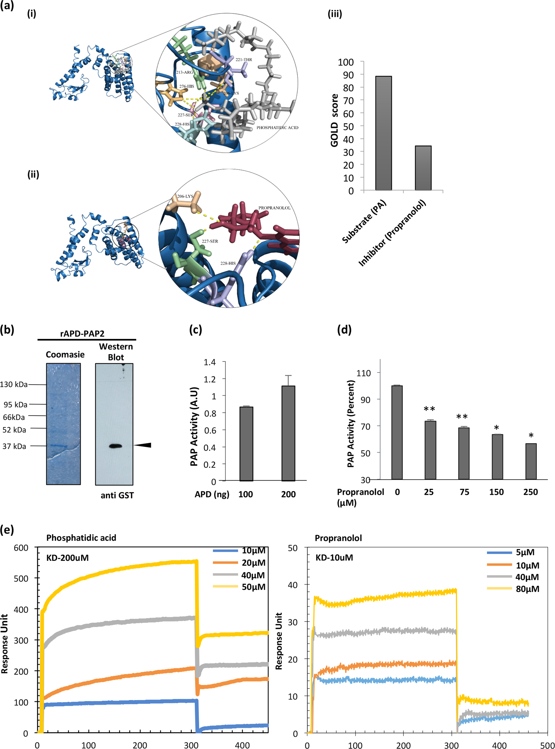 Fig. 2: Propranolol, a canonical inhibitor of PAP2 inhibits dephosphorylation of PA by PfPAP2.