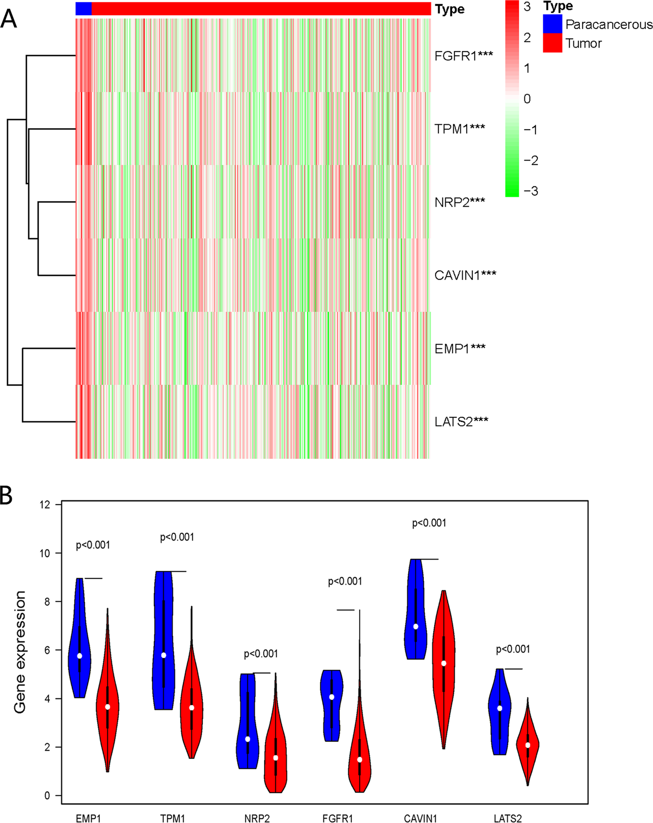 Fig. 1: Expression of survival-related genes in bladder cancer.