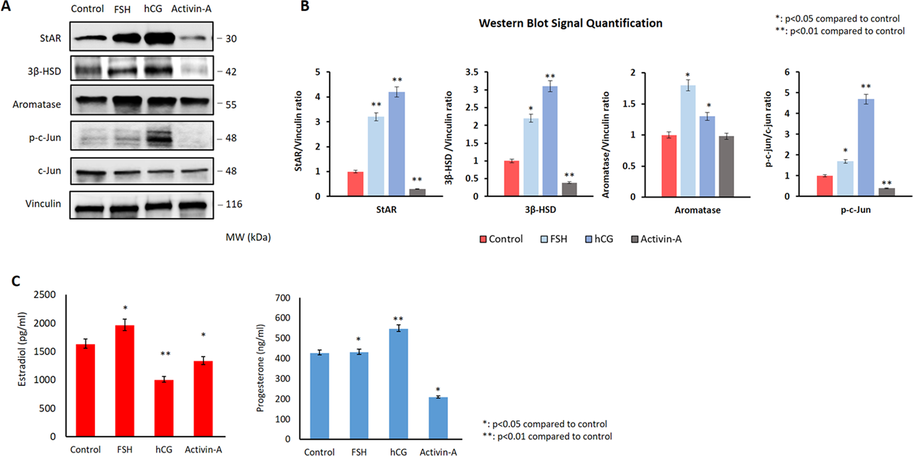 Fig. 2: hCG and Activin-A have opposing effects on the luteinization phenotype in human luteal granulosa cells.