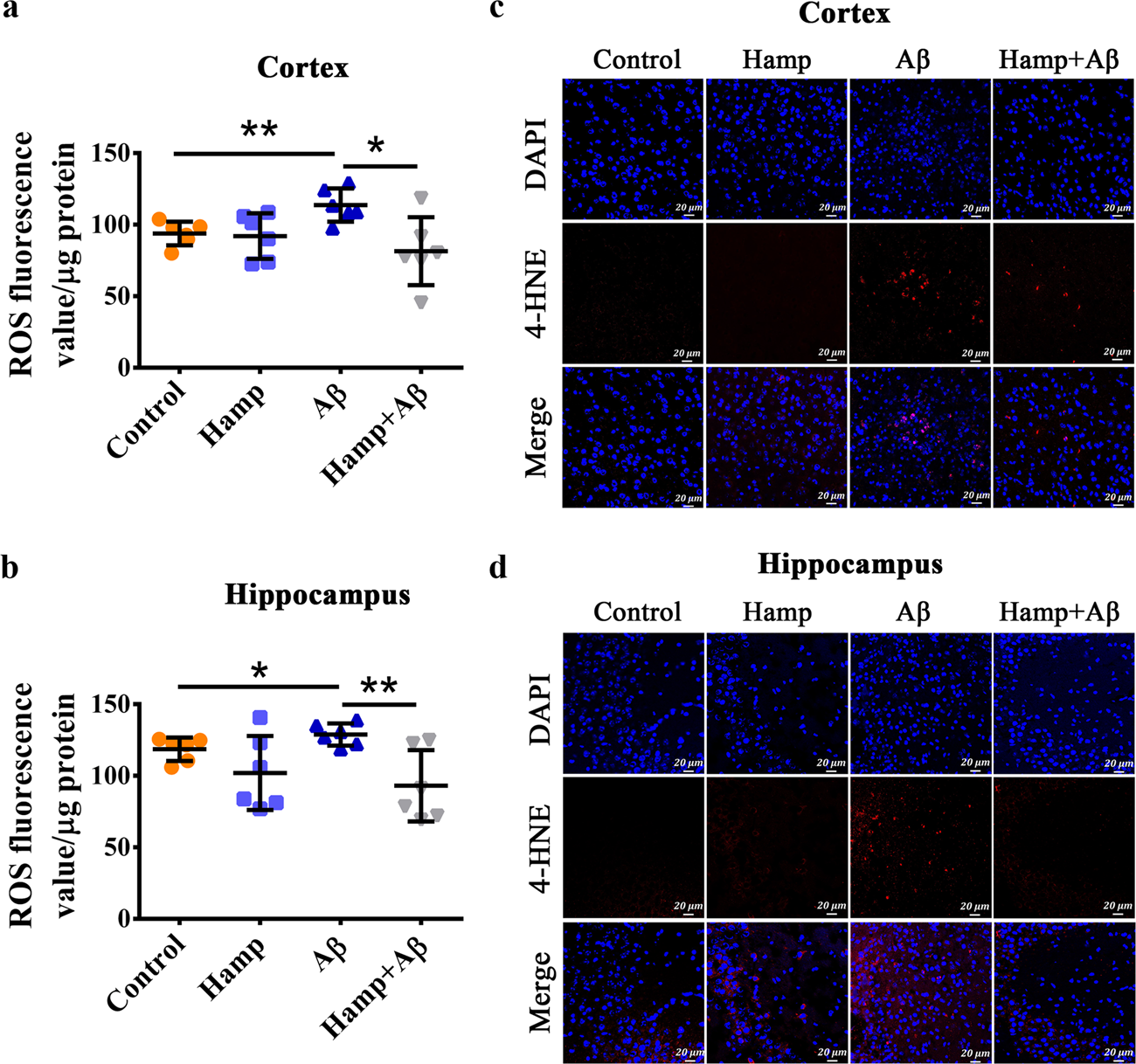 Fig. 3: Astrocyte hepcidin reduced oxidative damage.
