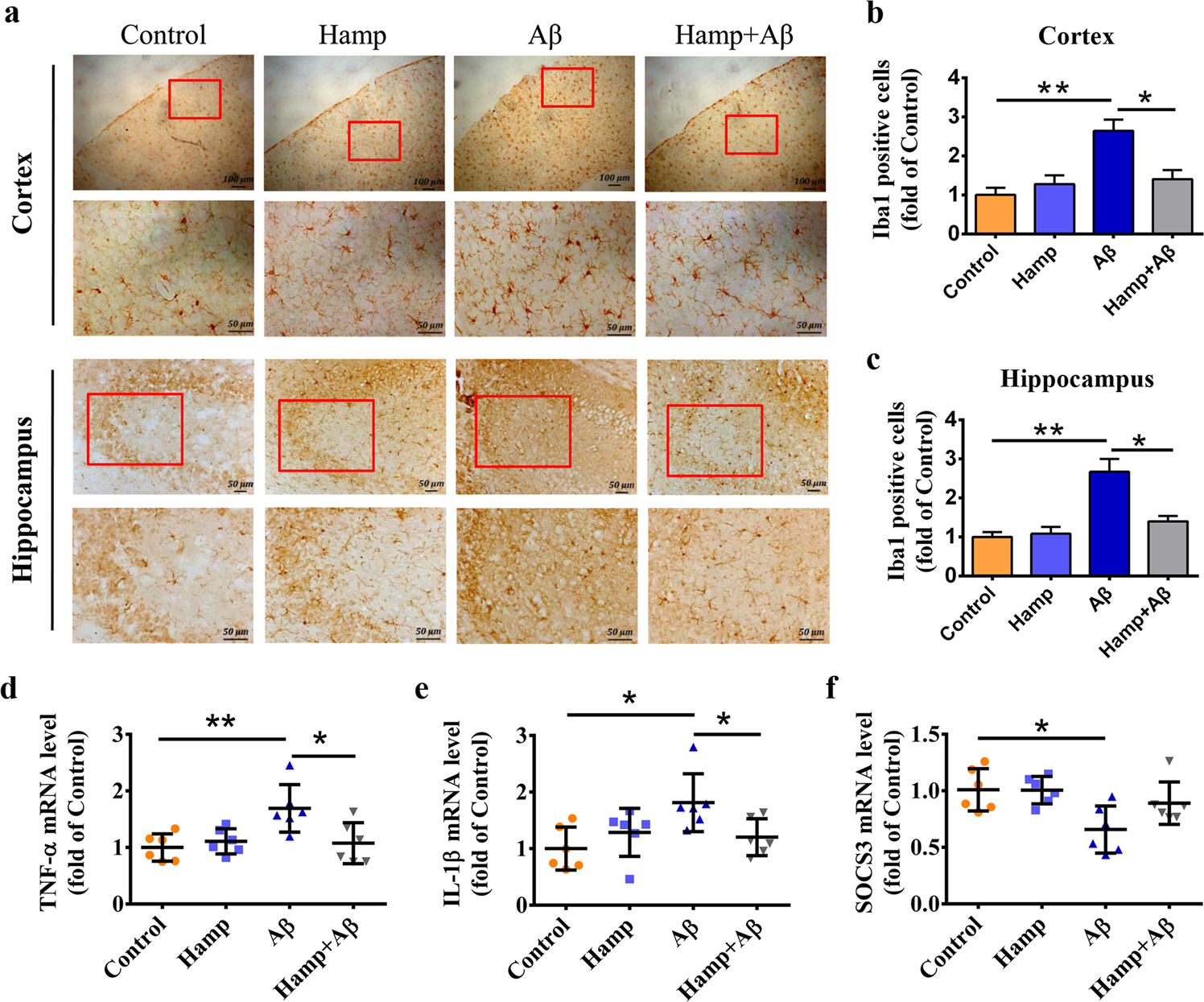 Fig. 7: Astrocyte hepcidin attenuated Aβ-induced inflammation.