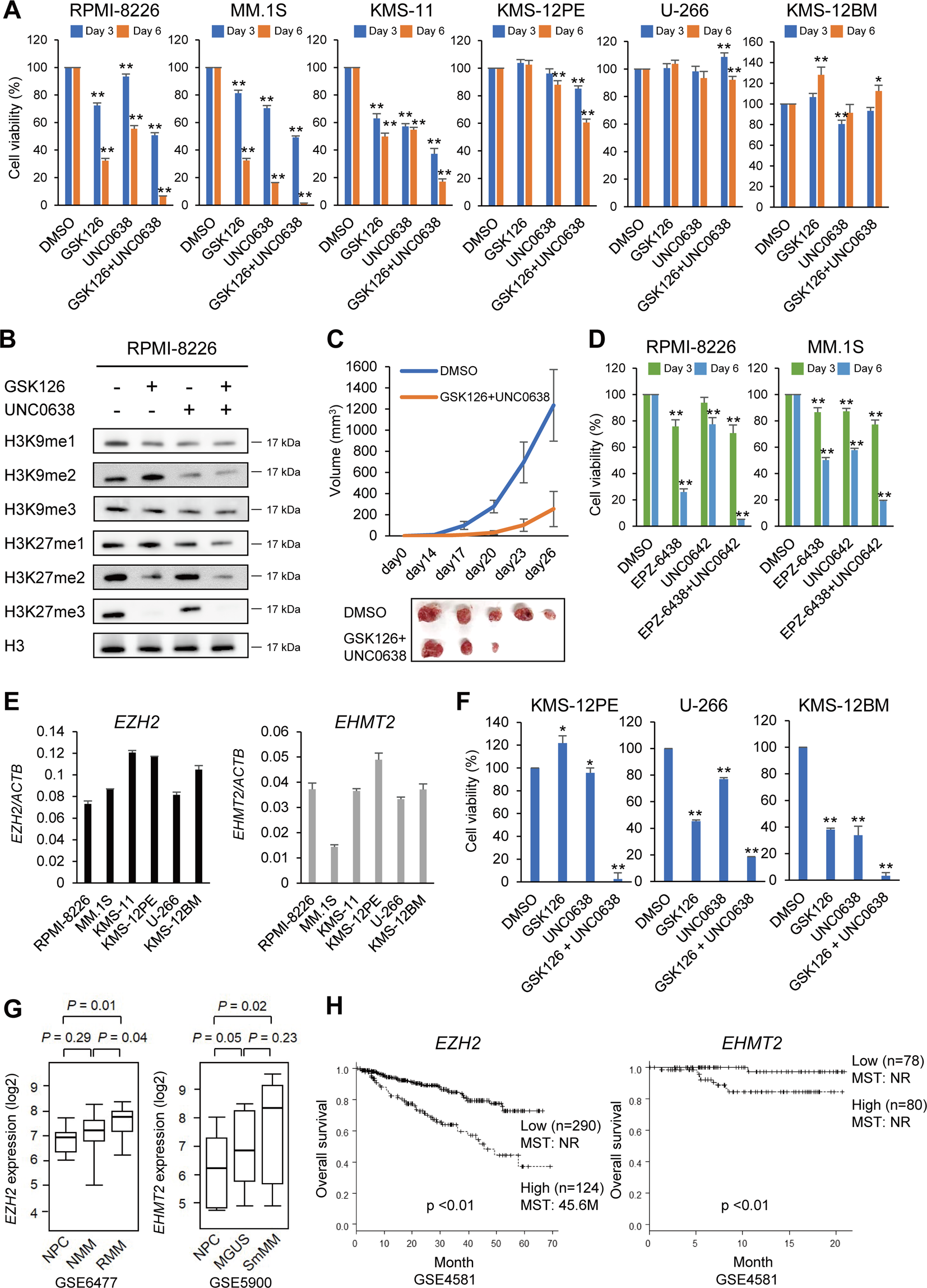 Full article: Epigenetic treatment of multiple myeloma mediates tumor  intrinsic and extrinsic immunomodulatory effects