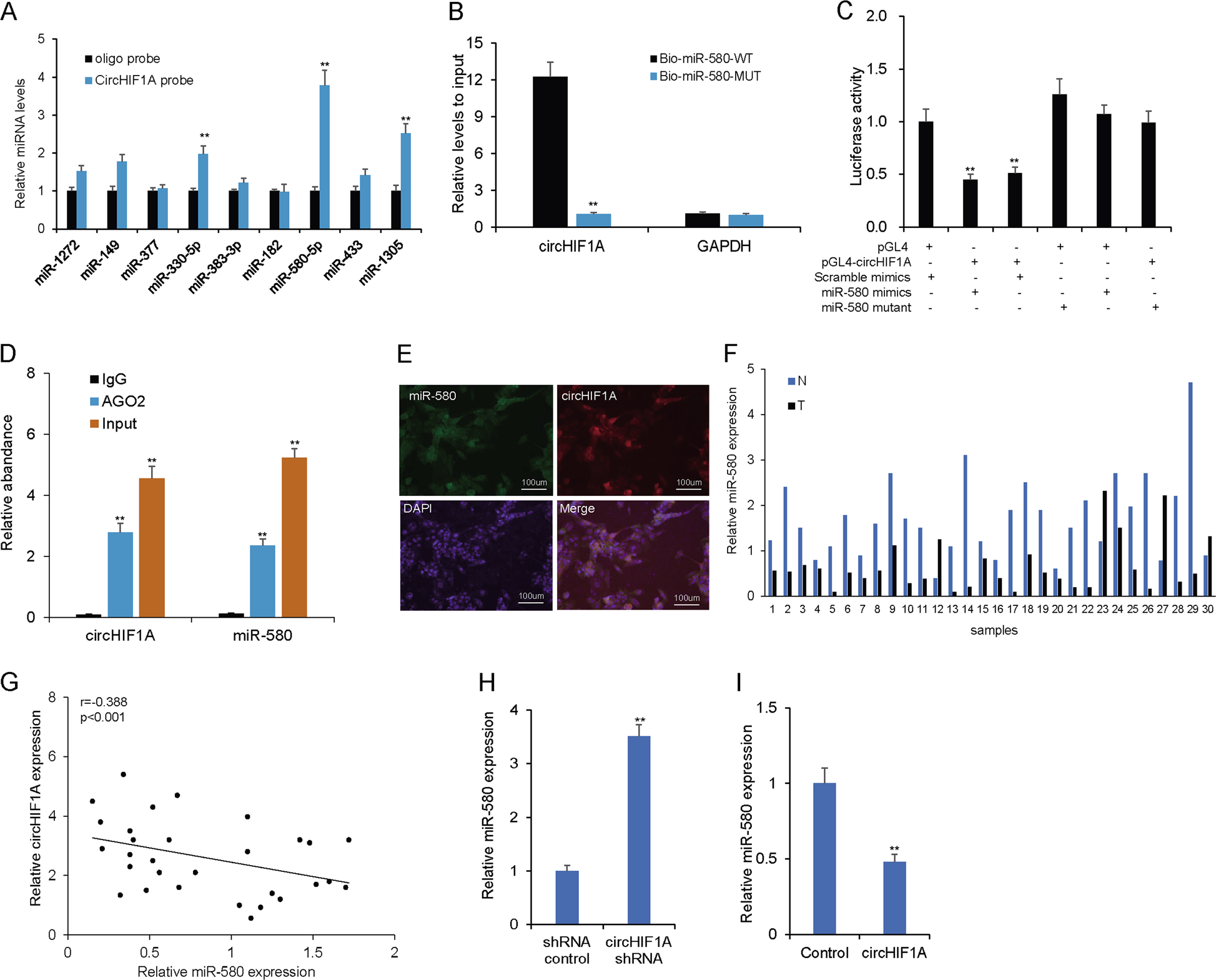 Fig. 4: CircHIF1A served as a sponge for miR-580-5p in breast cancer cells.