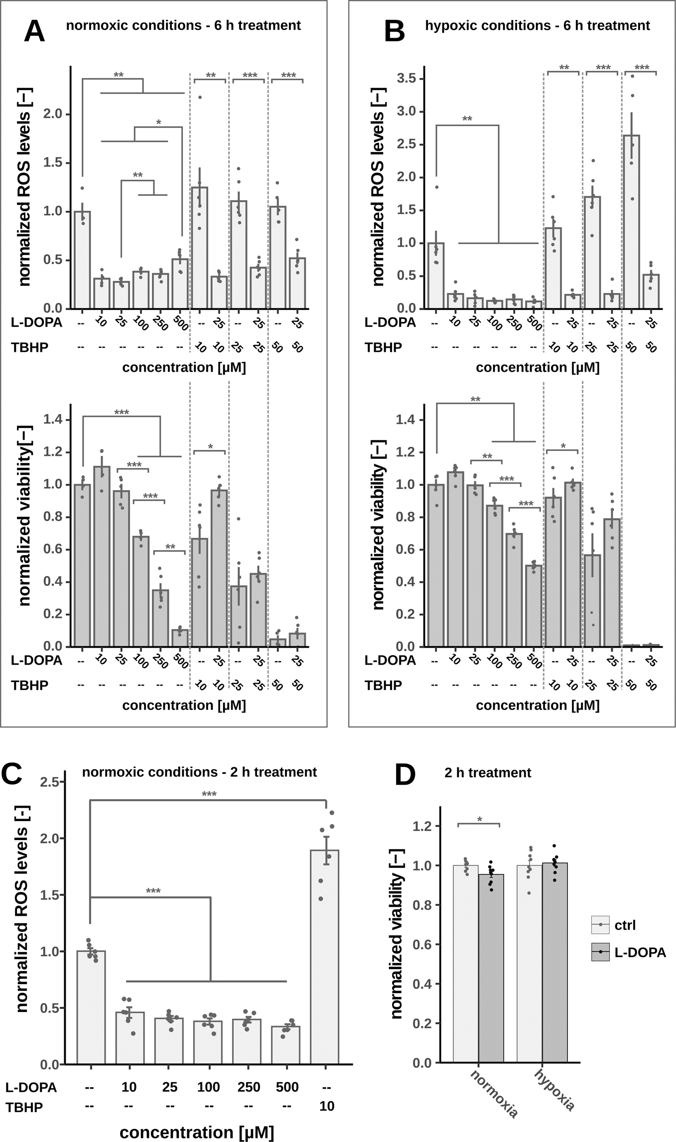 Fig. 2: Depending on oxygen tension, L-DOPA either acts as ROS producer or ROS scavenger.