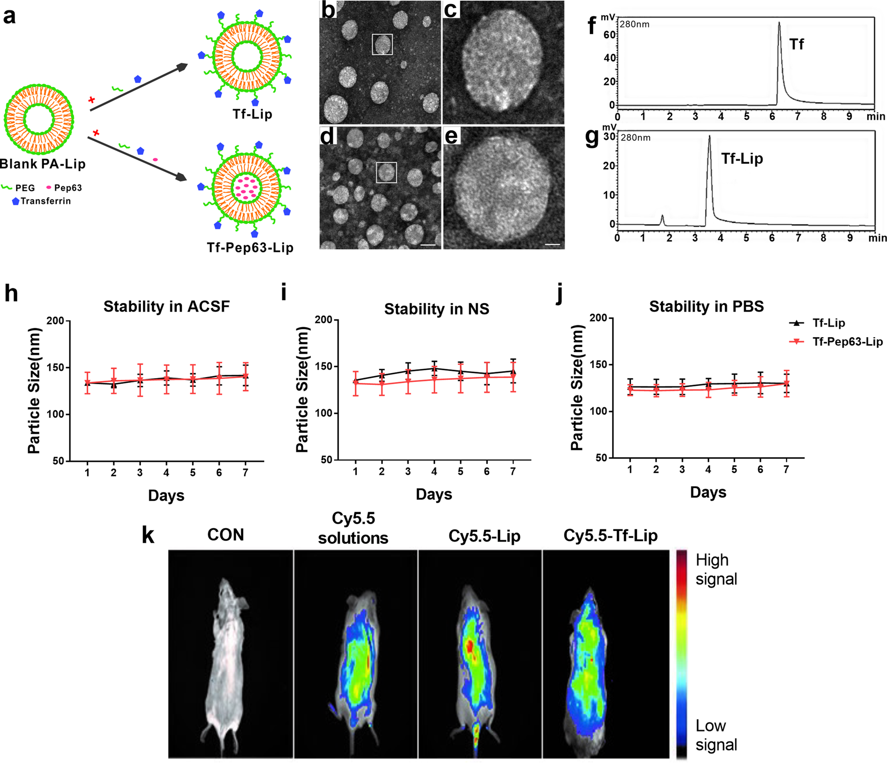 Transferrin Pep63 Liposomes Accelerate The Clearance Of Ab And Rescue Impaired Synaptic Plasticity In Early Alzheimer S Disease Models Cell Death Discovery