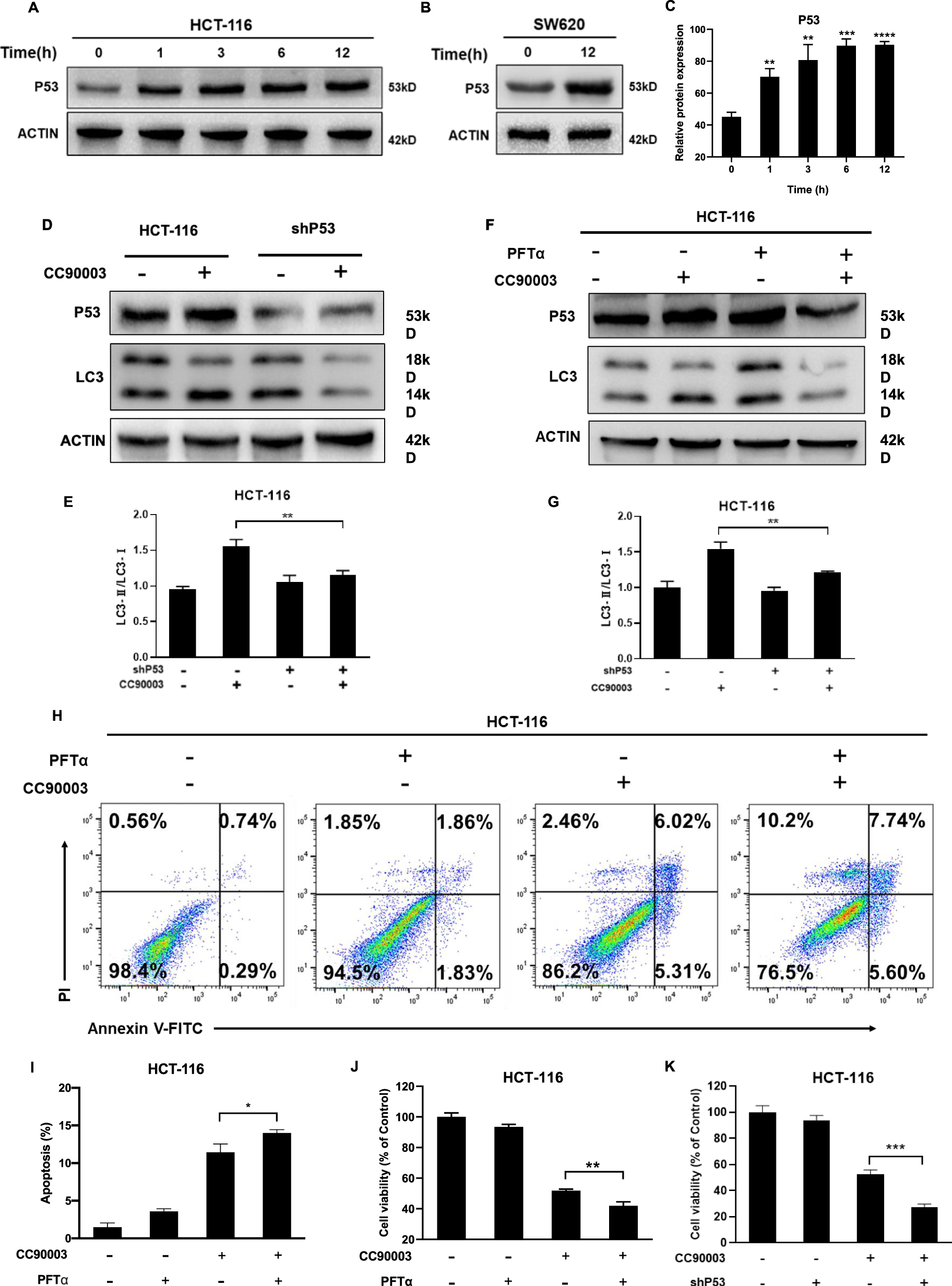 Fig. 5: The relationship between P53 and autophagy.
