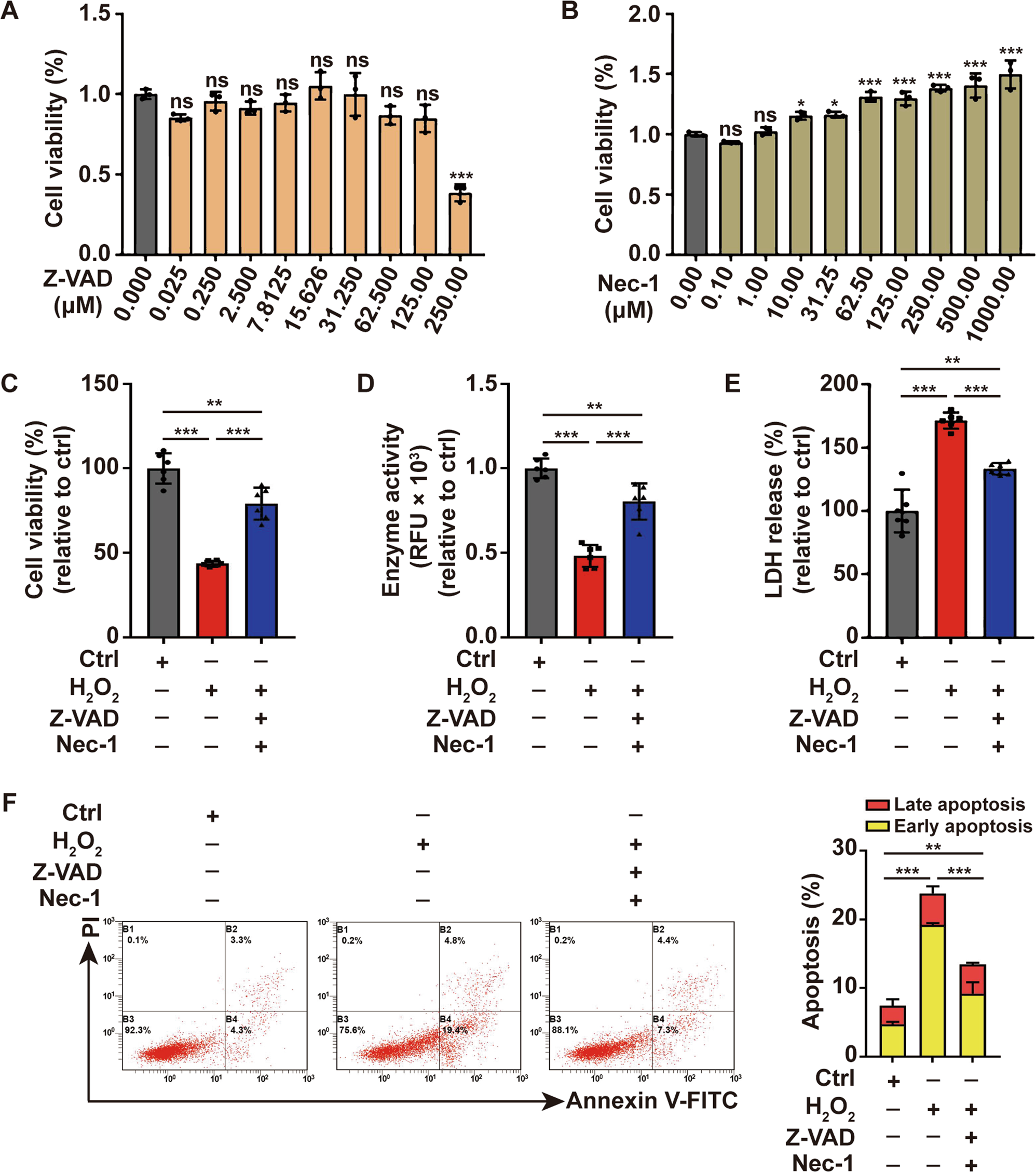 Fig. 1: Oxidative stress induces caspase- and necroptosis-independent cell death in melanocytes.