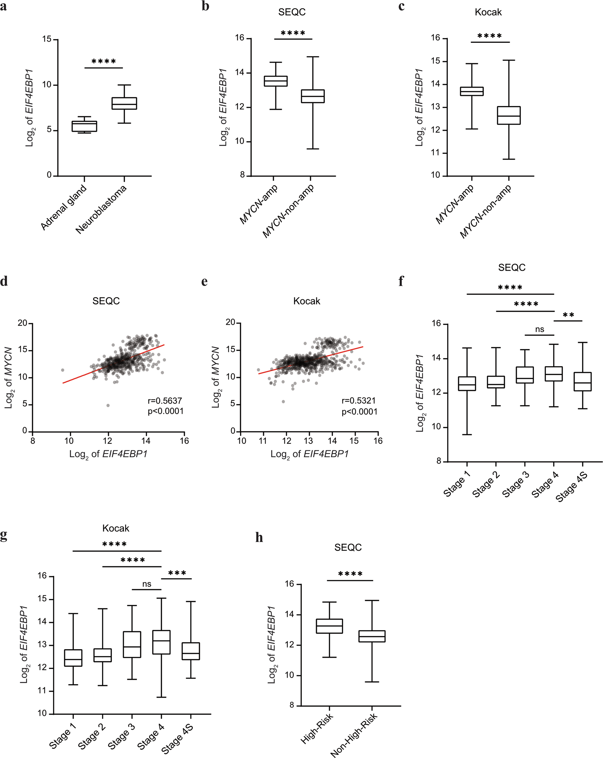Eif4ebp1 Is Transcriptionally Upregulated By Mycn And Associates With Poor Prognosis In Neuroblastoma Cell Death Discovery