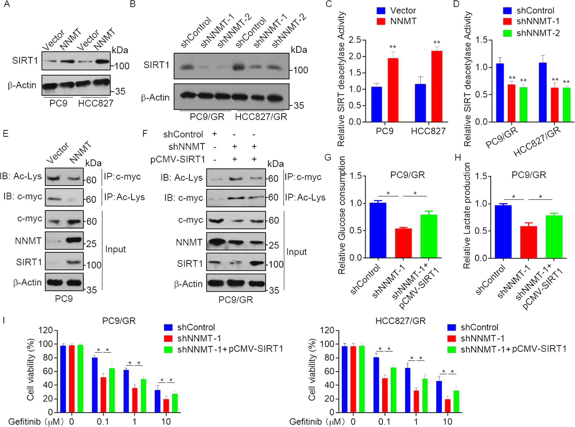Fig. 5: NNMT promotes glycolysis and EGFR-TKIs resistance via SIRT1-mediated c-myc deacetylation.