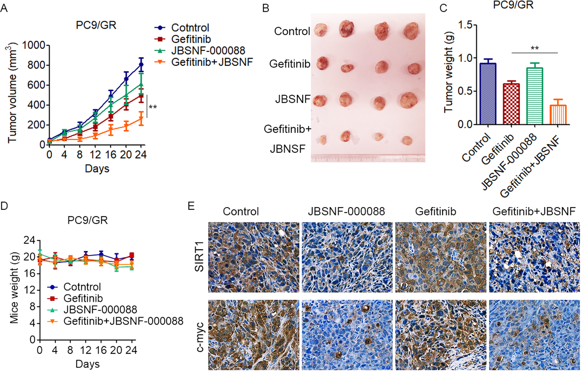 Fig. 7: Pharmacological inhibition of NNMT overcomes EGFR-TKIs resistance in NSCLC cells in vivo.