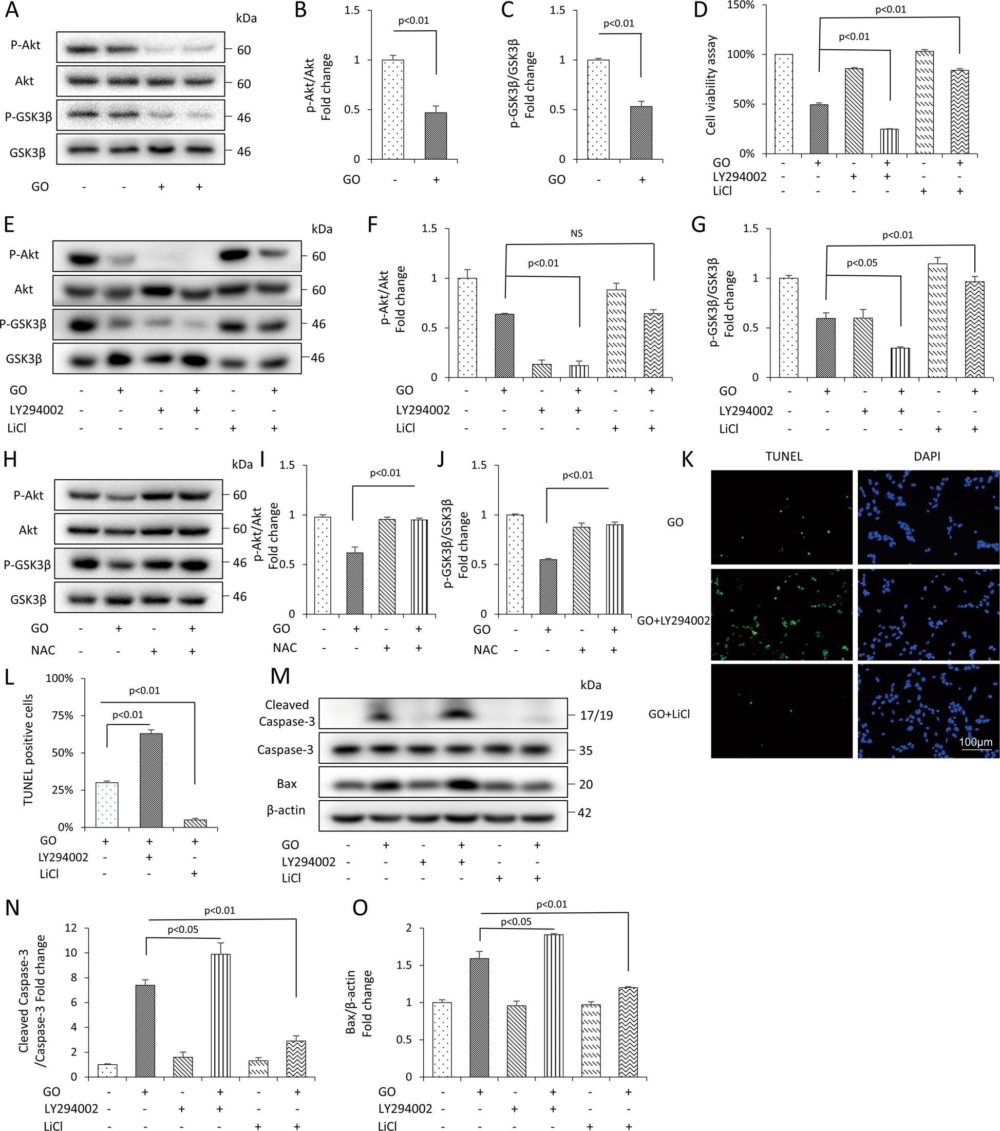 Fig. 5: Involvement of Akt-GSK3β signaling pathway in glucose oxidase-induced apoptosis in the mDPC6T cells.