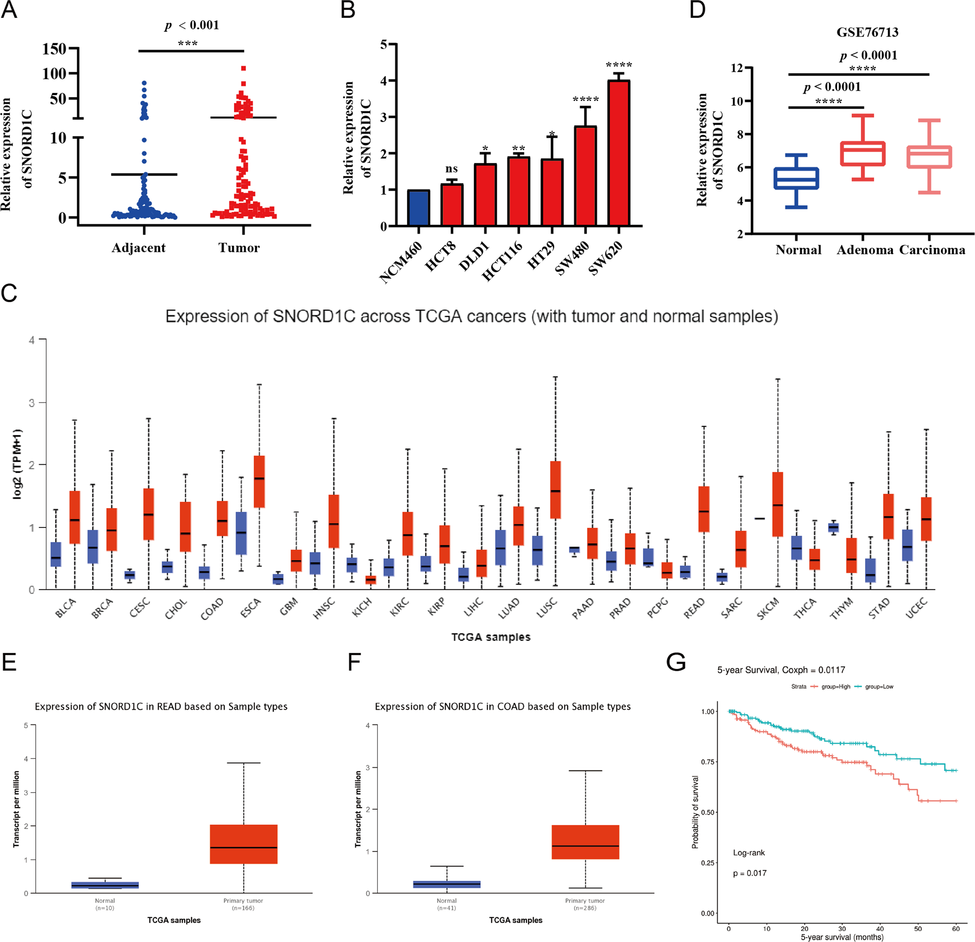 Fig. 1: High SNORD1C expression was significantly associated with poor prognosis.