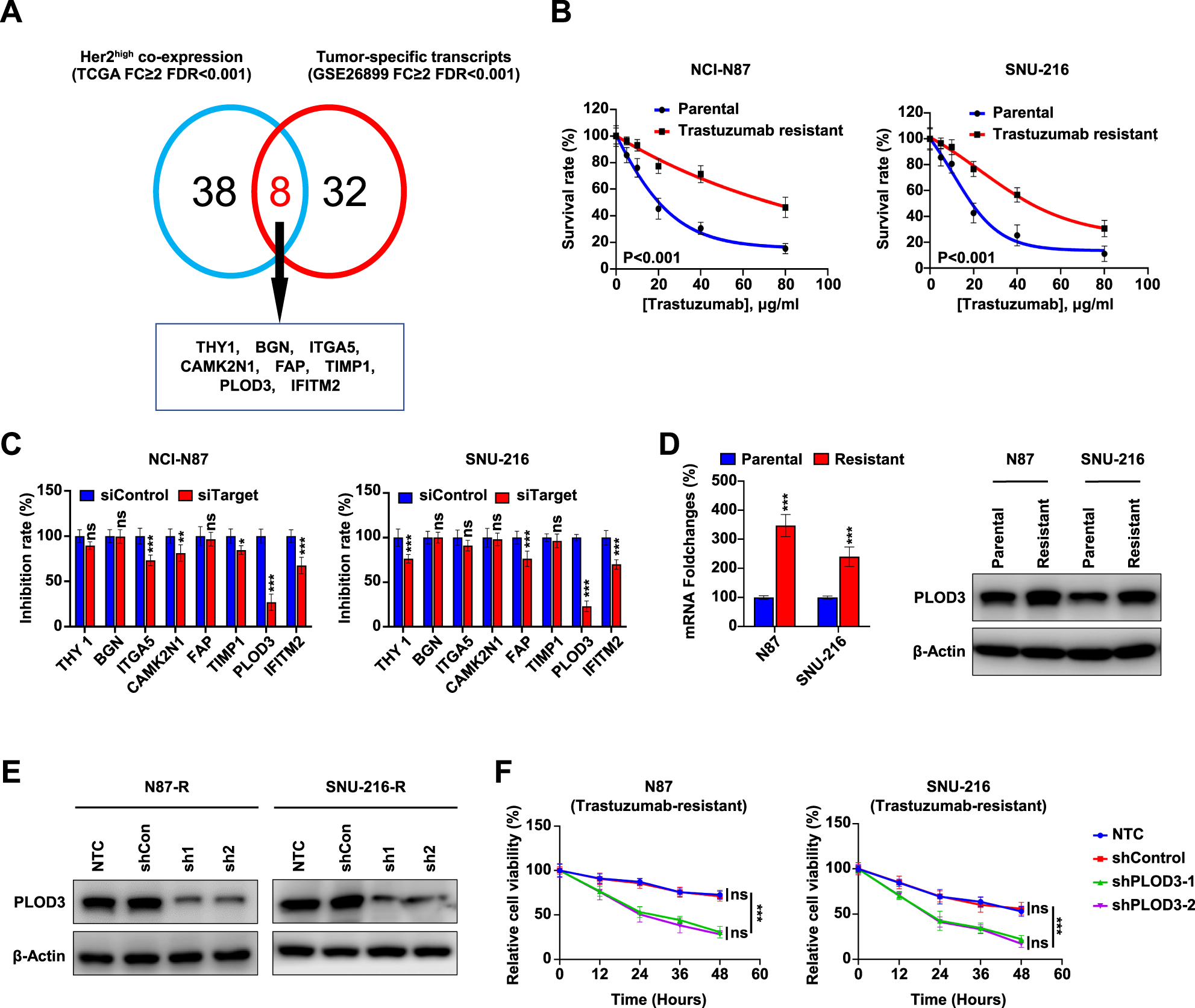 Fig. 1: Identification of PLOD3 as a novel regulator responsible for Trastuzumab resistance in gastric cancer.
