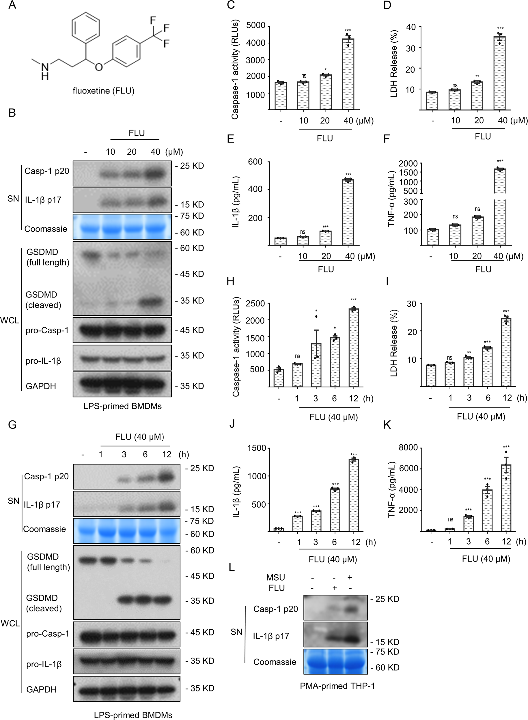Fig. 2: Fluoxetine triggers the maturation of downstream effector cytokines and cleavage of GSDMD.