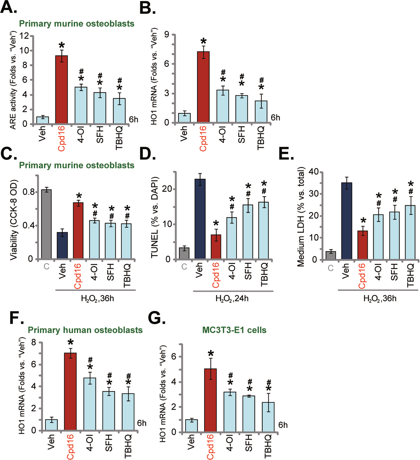 Fig. 4: Cpd16-induced Nrf2 activation and osteoblasts protection against H2O2 were stronger than other known Nrf2 activators.