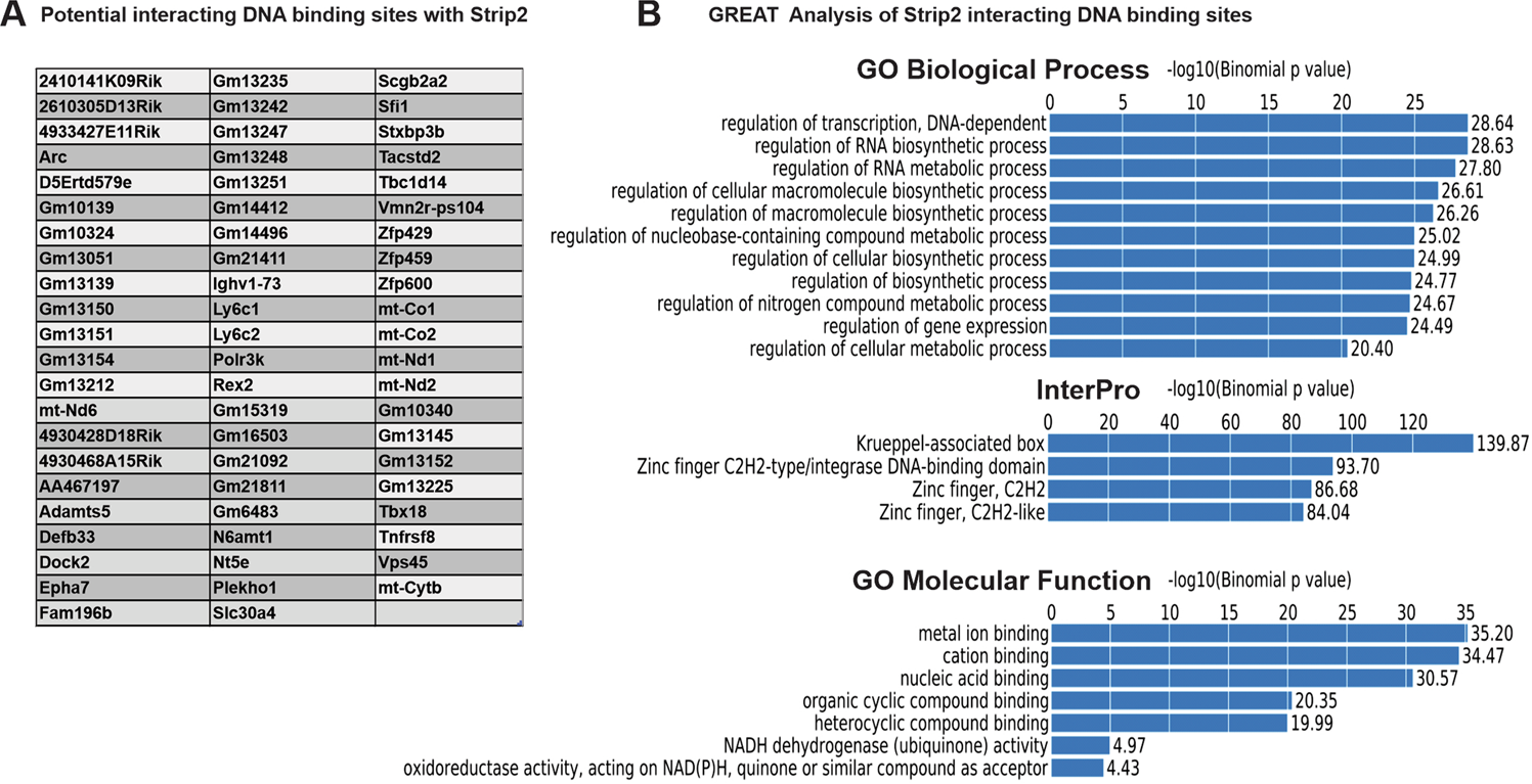 Epigenetic mechanisms of Strip2 in differentiation of pluripotent stem  cells | Cell Death Discovery
