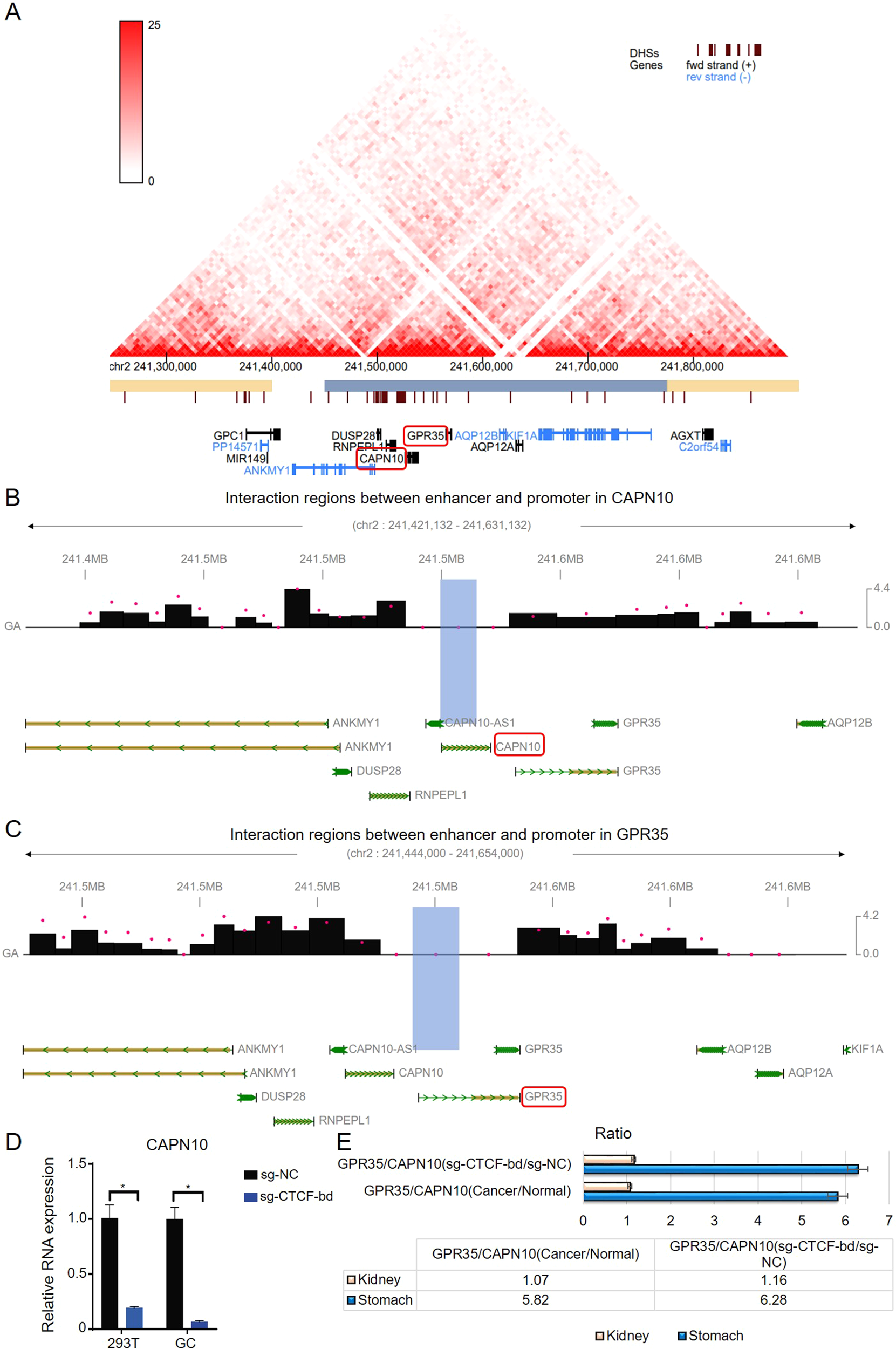 Fig. 2: ERR event for orphan GPR35 in GC tumors.
