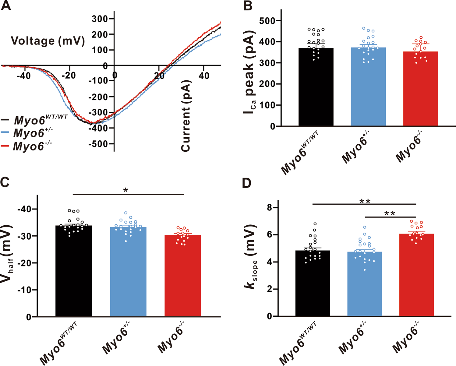 Functional and developmental changes in the inner hair cell ribbon synapses  caused by Myosin VI knockout and deafness-inducing point mutation | Cell  Death Discovery