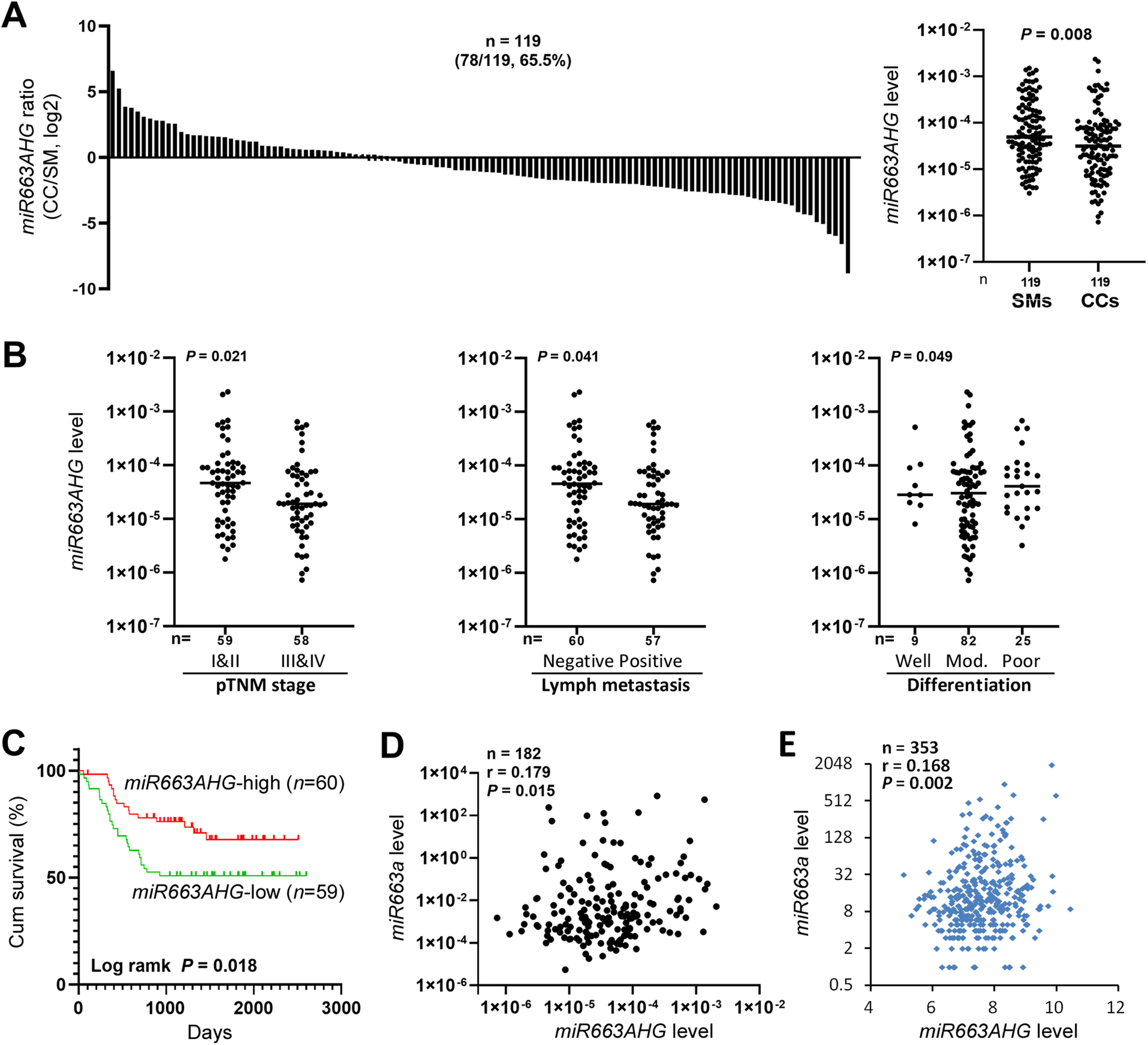 Fig. 2: The level of miR663AHG expression in colon cancer tissue samples from patients with various clinicopathological characteristics.
