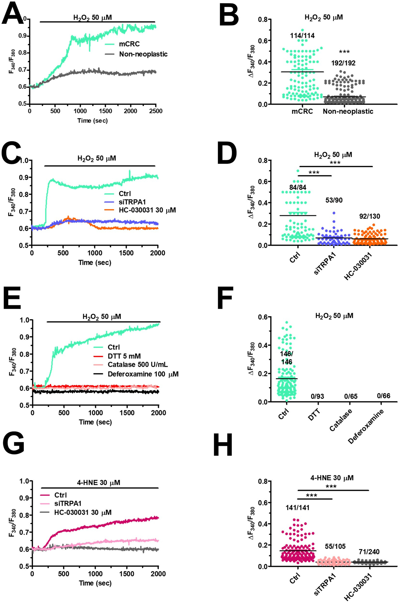 Fig. 3: TRPA1 mediates H2O2-induced intracellular Ca2+ signals in primary cultures of mCRC cells.