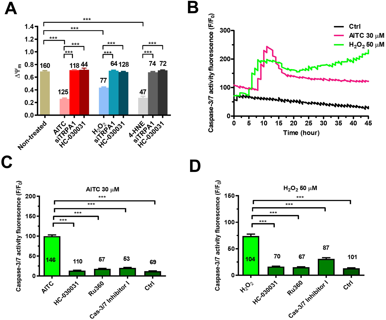 Fig. 5: TRPA1-mediated extracellular Ca2+ entry causes mitochondrial depolarization and caspase-3/7 activation in mCRC cells.