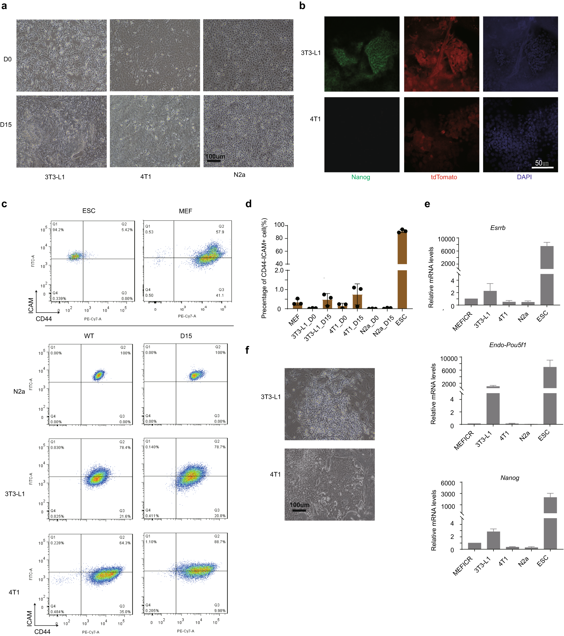 Restricting epigenetic activity promotes the reprogramming of transformed  cells to pluripotency in a line-specific manner | Cell Death Discovery