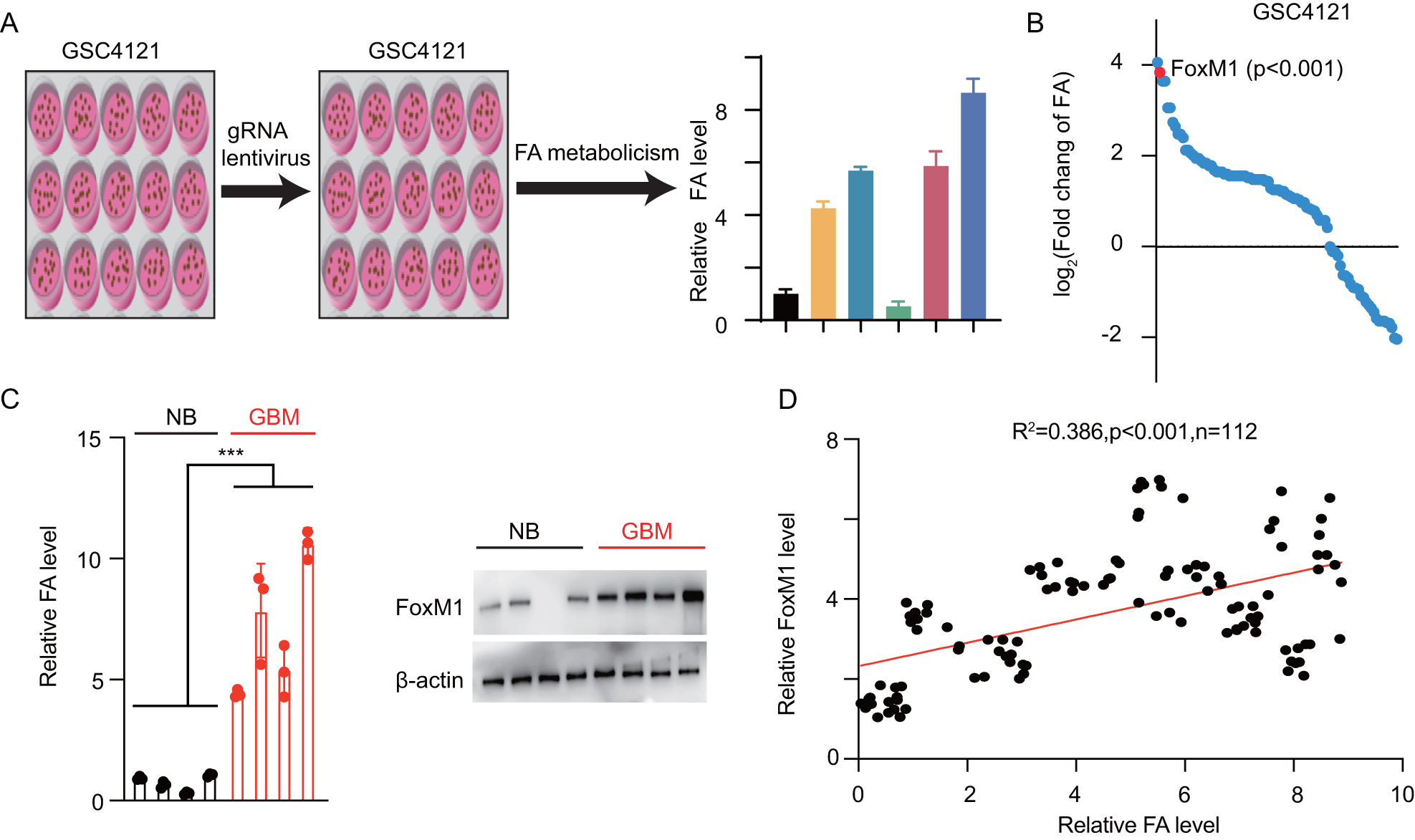 Fig. 2: Identification of the upstream transcription factor by a CRISPR-Cas9 gRNA library screen.