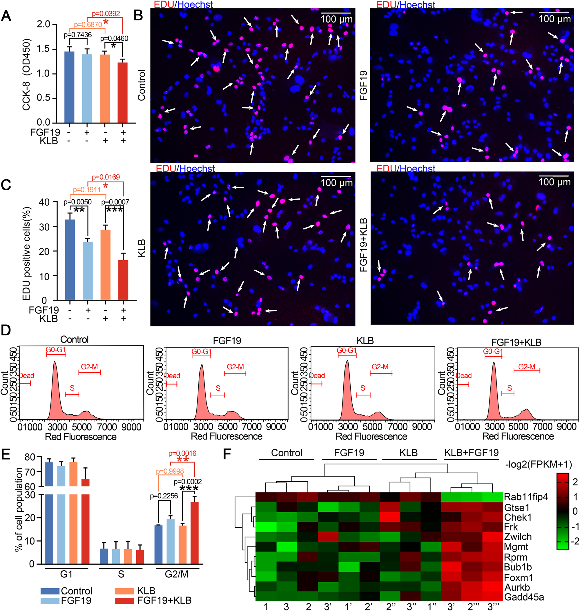 Replicatively senescent cells are arrested in G1 and G2 phases - Figure F1