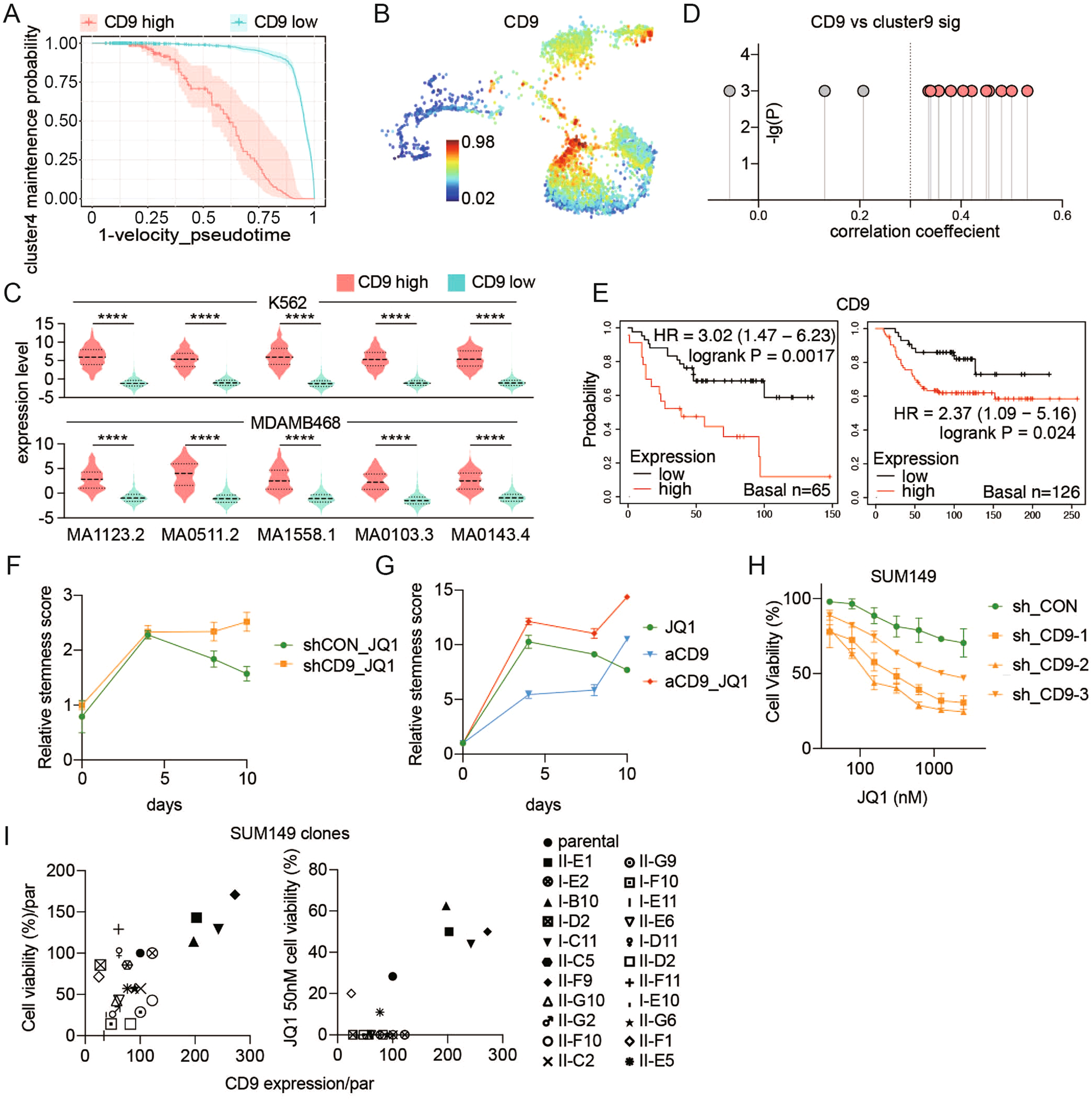 Fig. 4: CD9 expression is increased in transitional cluster 9 and regulates JQ1 resistance in SUM149.