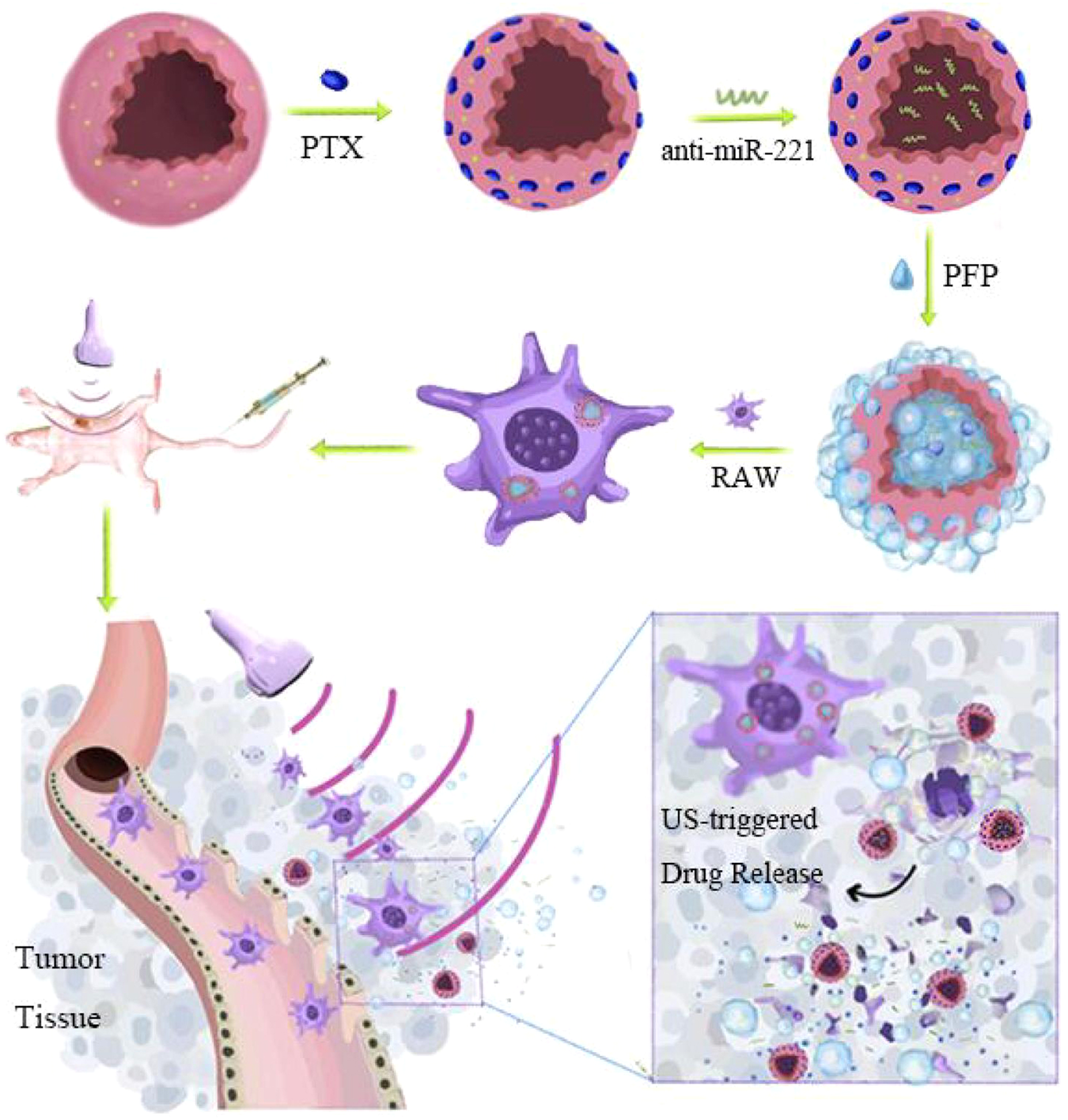 Fig. 1: Schematic design of a macrophage-mediated drug delivery system.