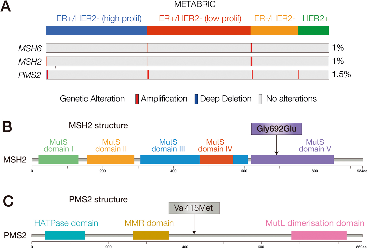 Fig. 3: Alterations of the MMR system in the breast cancer patient.