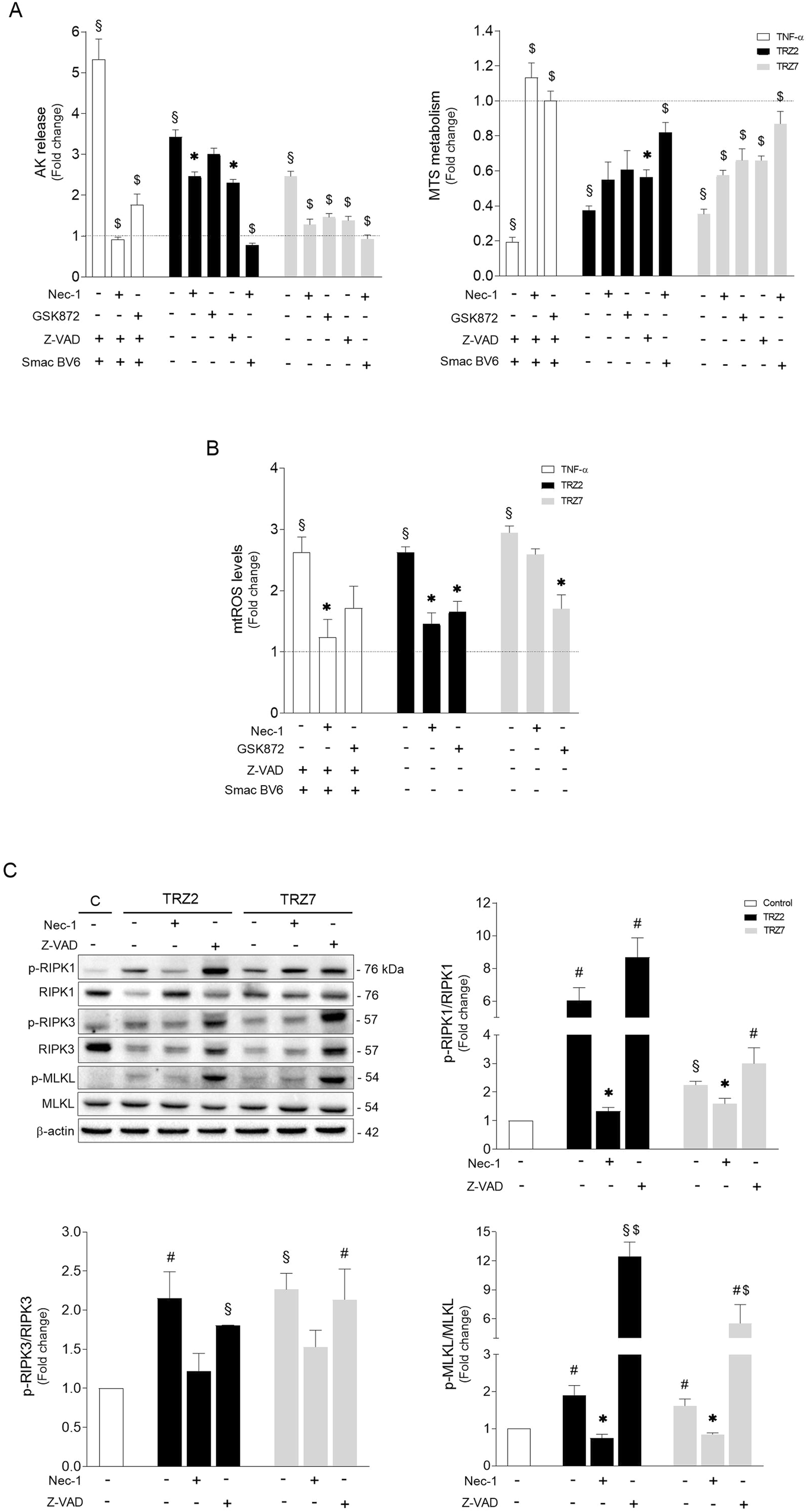 Fig. 4: Ru-TRZ hybrids induce necroptotic cell death that is exacerbated when apoptosis is compromised.