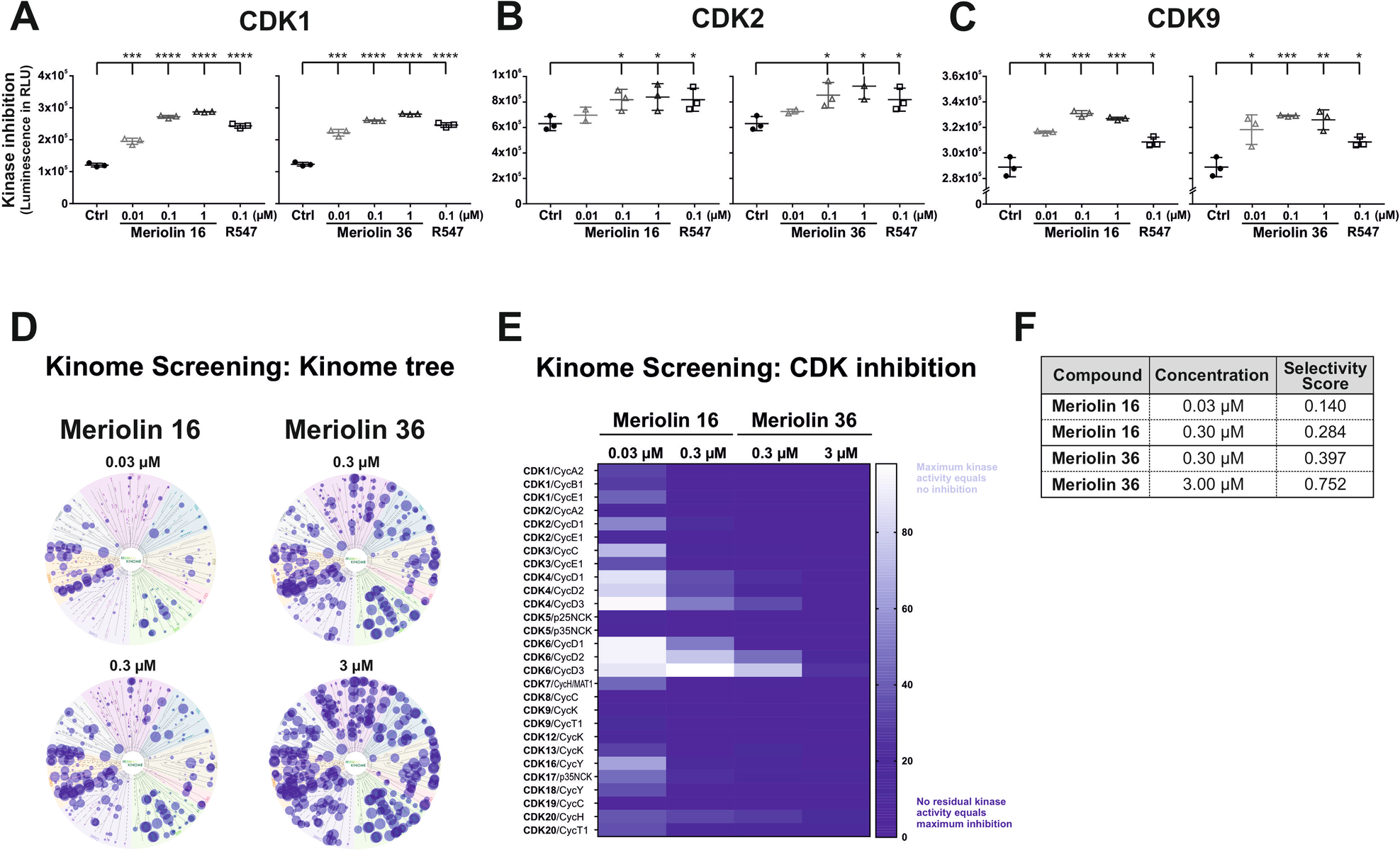 Fig. 2: Meriolin 16 and 36 inhibit CDK1, 2, and 9 and inhibit a variety of other kinases in a kinome screen with a prevalence to the CMGC family.
