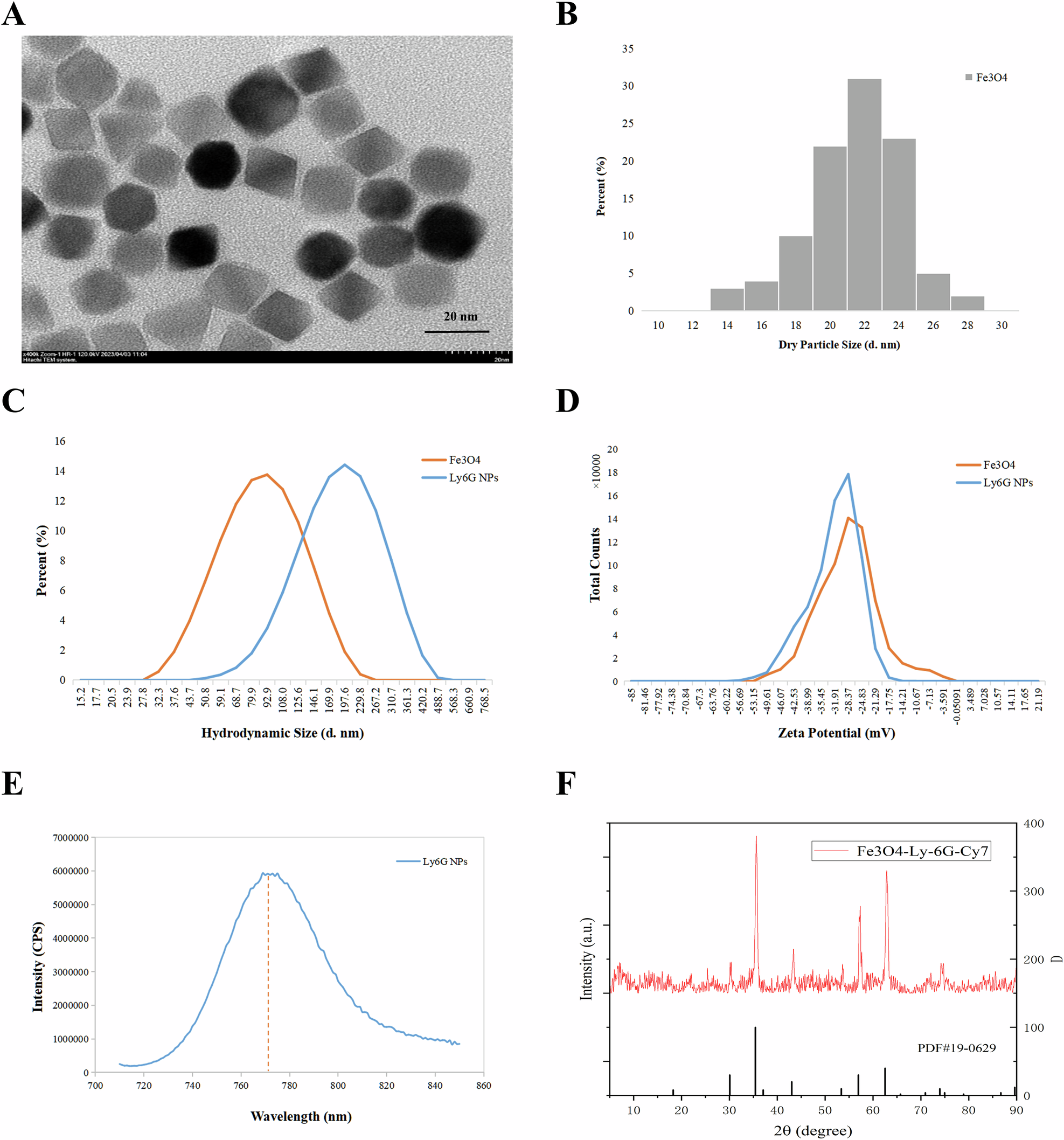 Fig. 3: Physical characterization of Ly6G NPs.