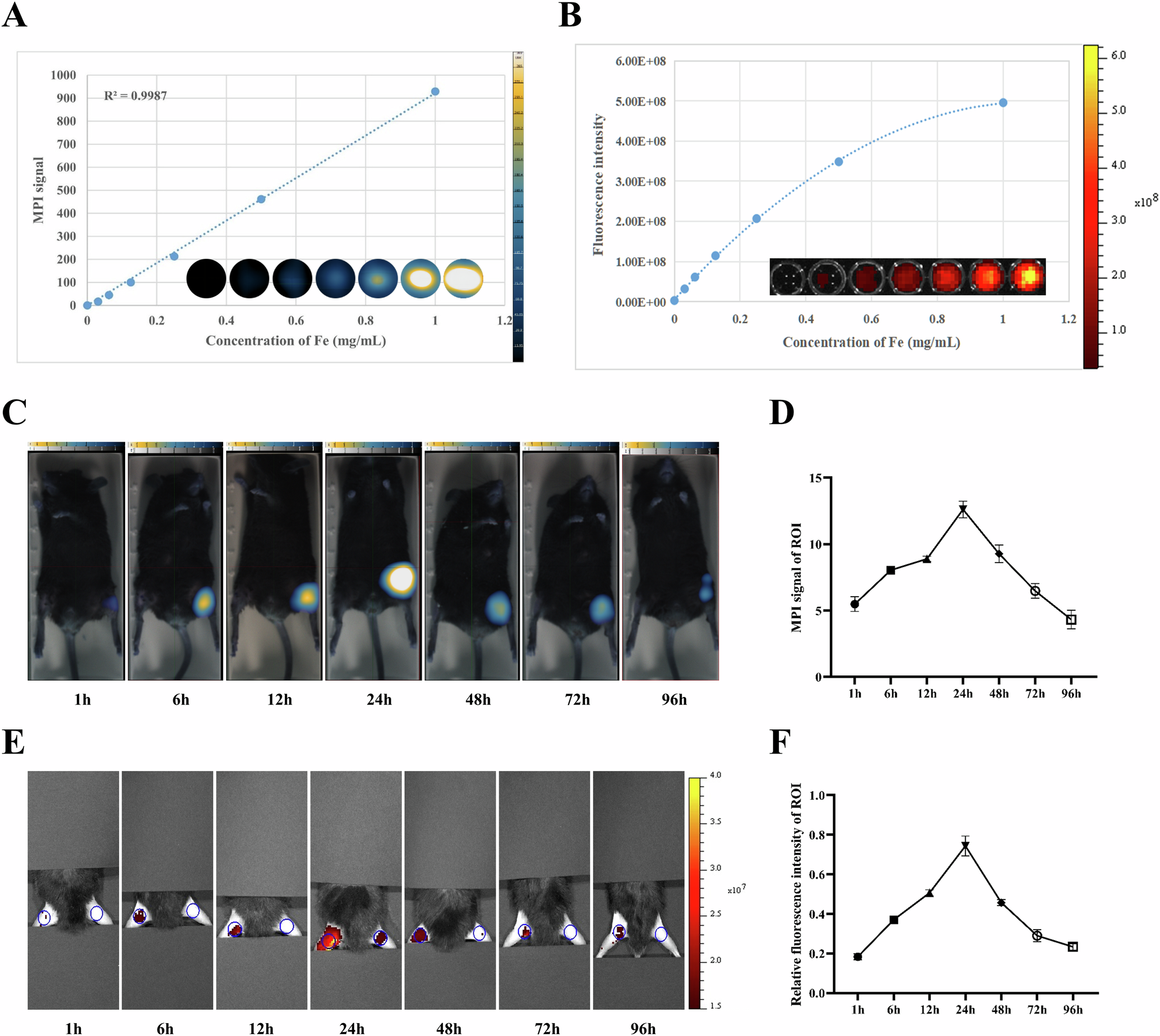 Fig. 4: Ex vivo stability and in vivo specificity of Ly6G NPs.