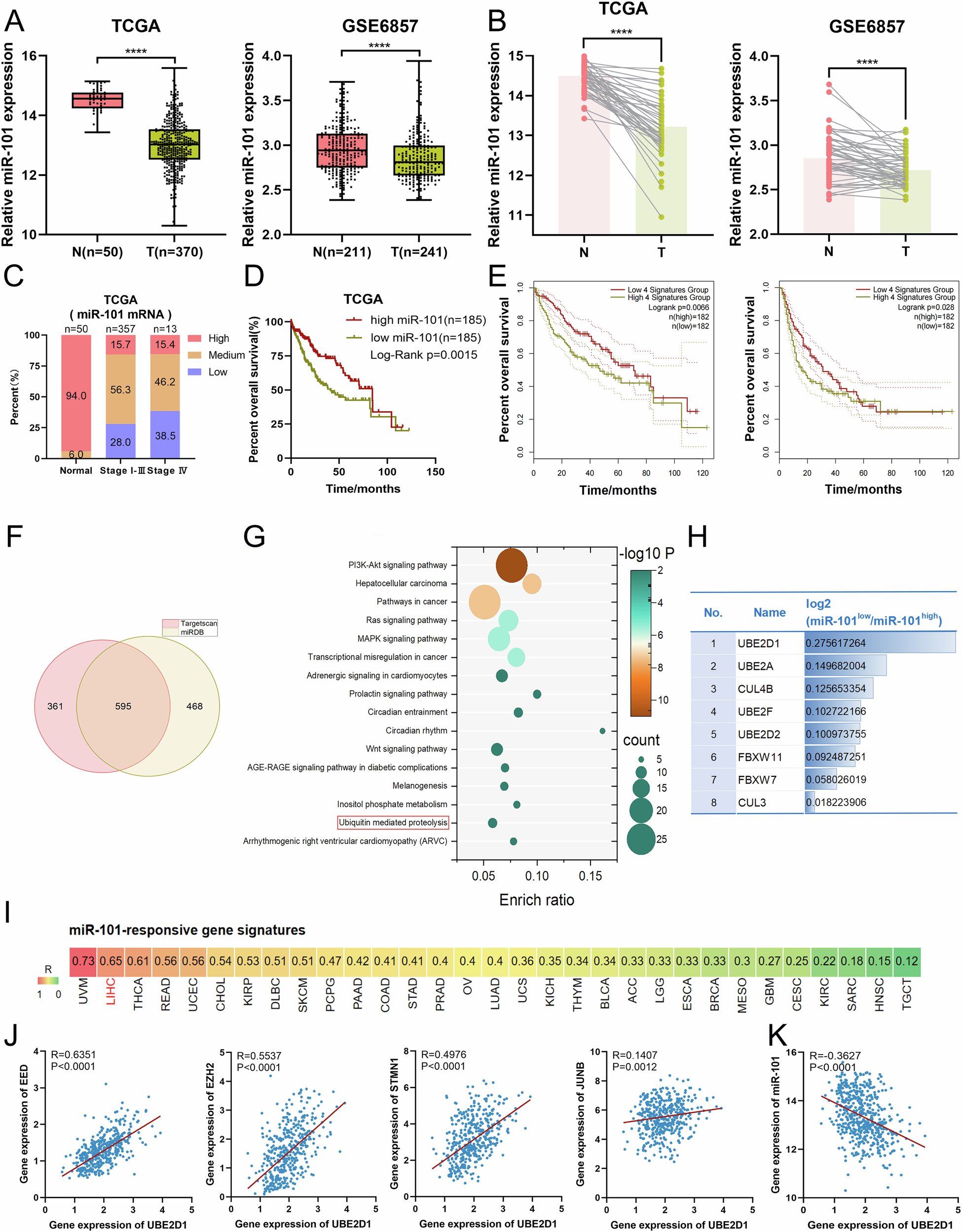 Fig. 1: Expression of miR-101 in HCC patients and screening and identification of its downstream target gene UBE2D1.