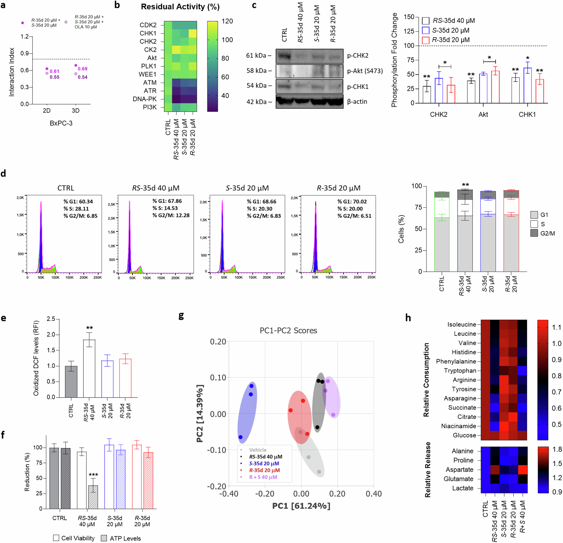 Fig. 5: RS-35d, S-35d and R-35d inhibition of DDR kinases and dissection of RS-35d mechanism of action.