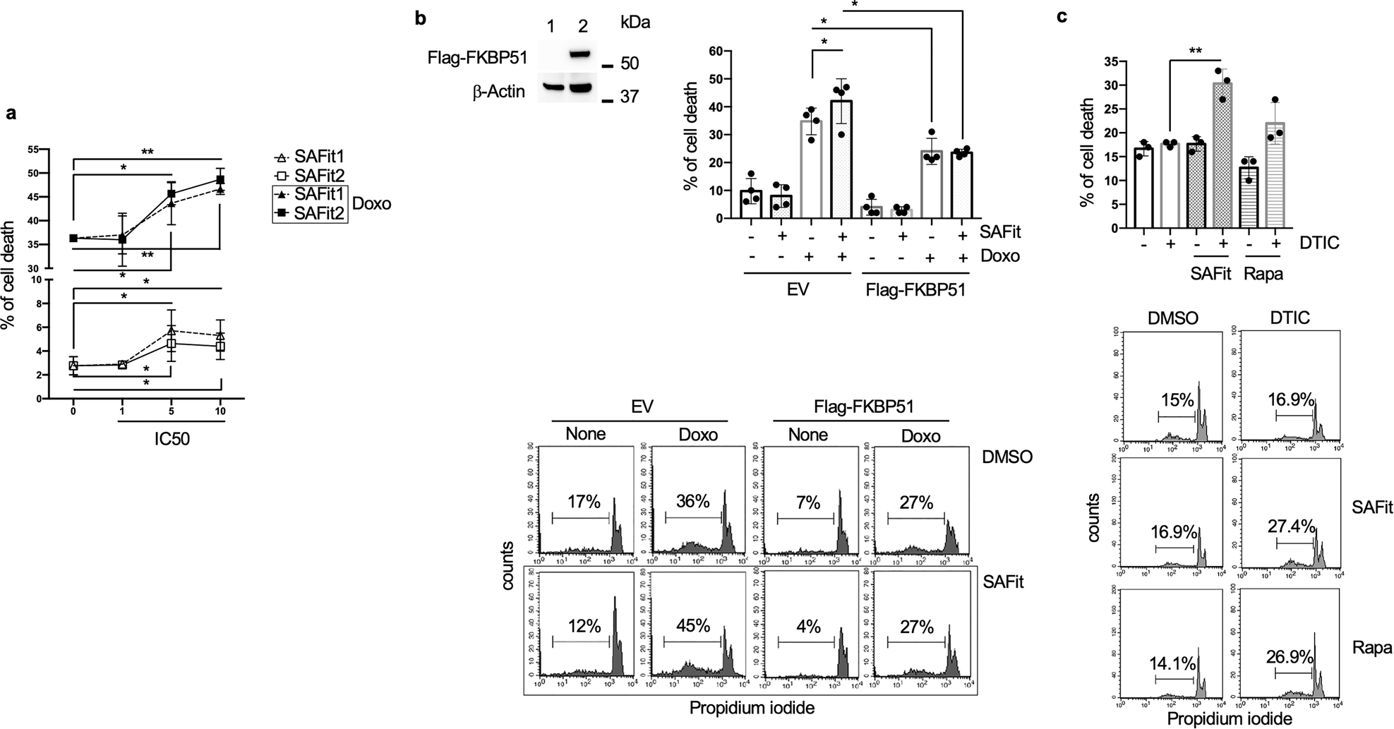 Fig. 1: SAFit enhances melanoma cell death.