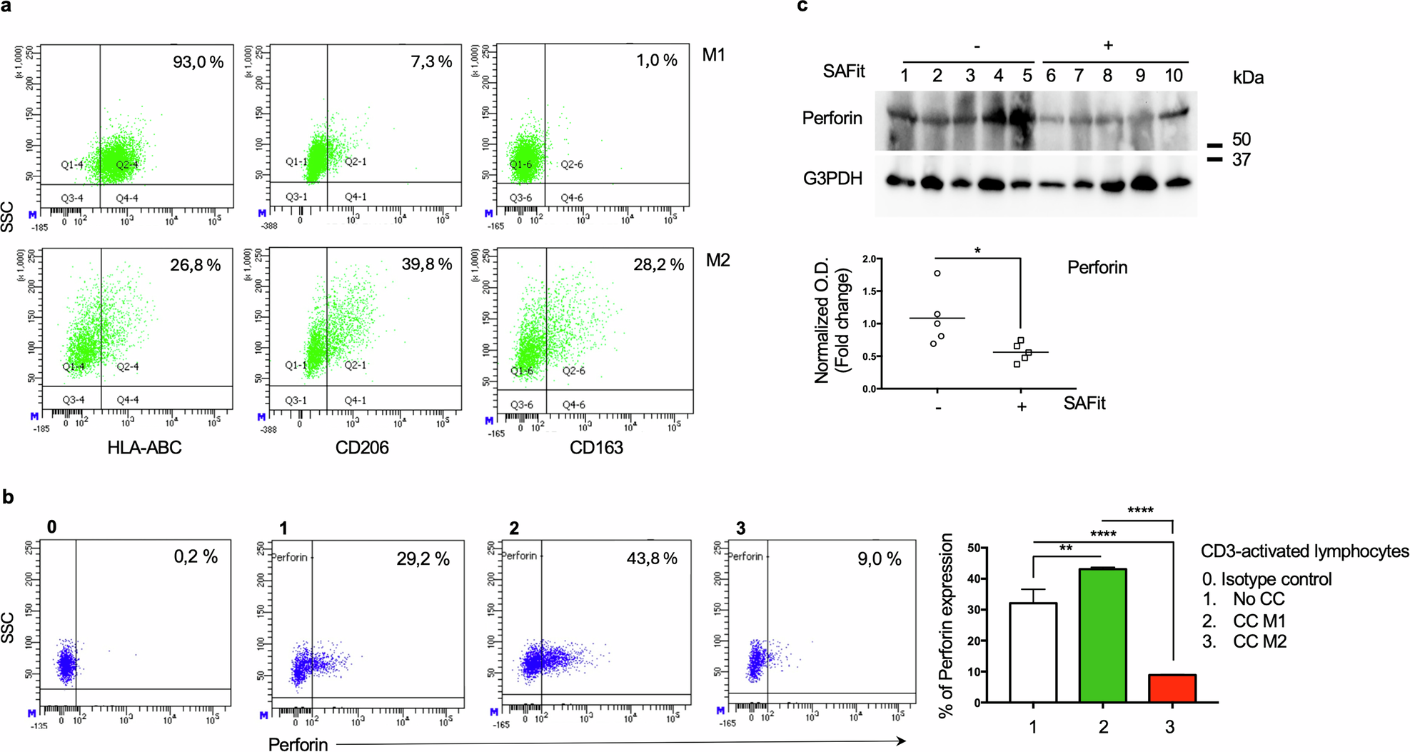 Fig. 7: Levels of cytotoxic proteins are reduced by M2 macrophages and in SAFit-treated TMEs.