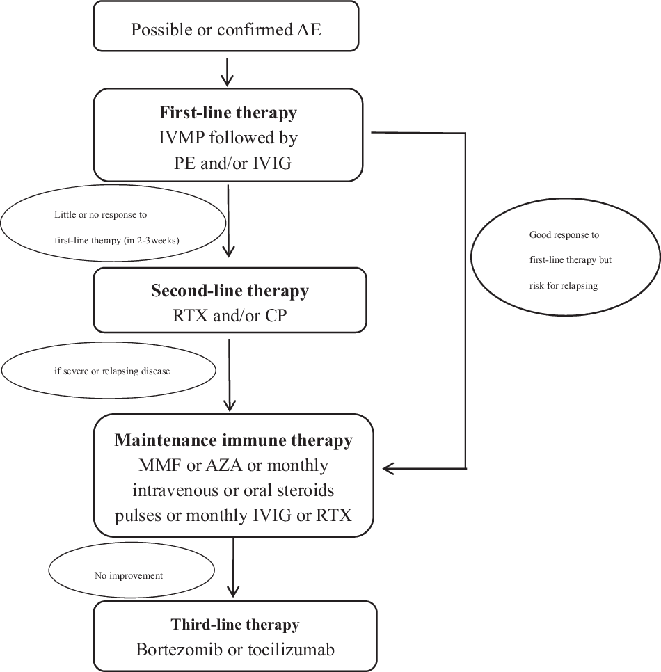 Fig. 1: Immunotherapy flowchart.