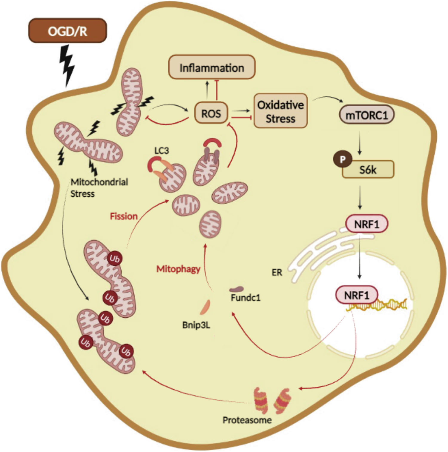 Fig. 7: Working model.