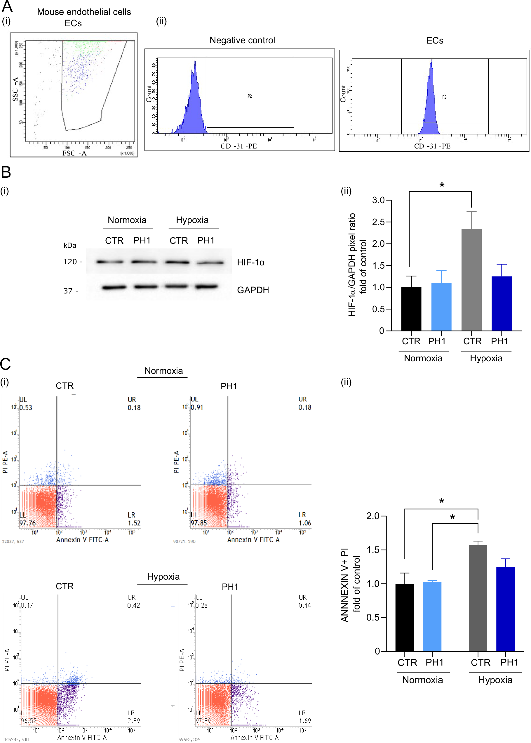 Fig. 4: GRK2 limits hypoxia-induced cell death.