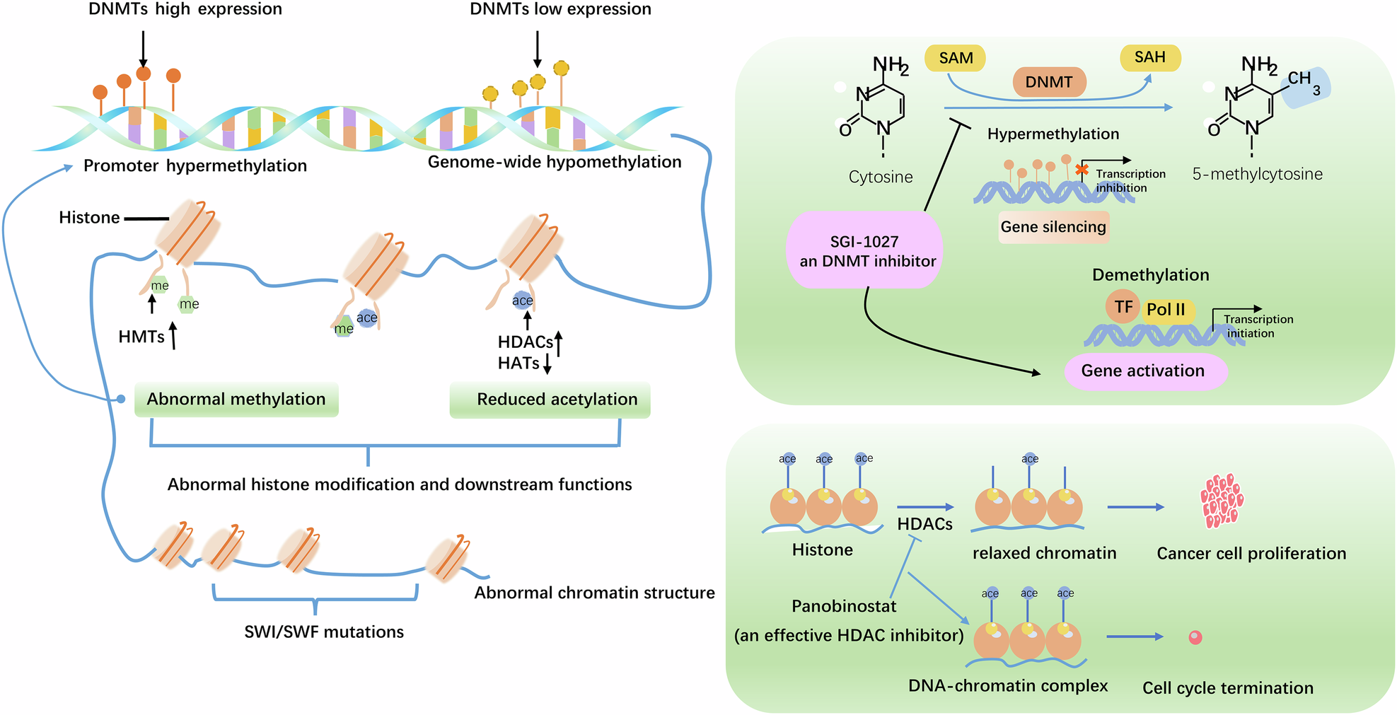 glutathione thyroid cancer increase Frontiers Frontiers | The protective role