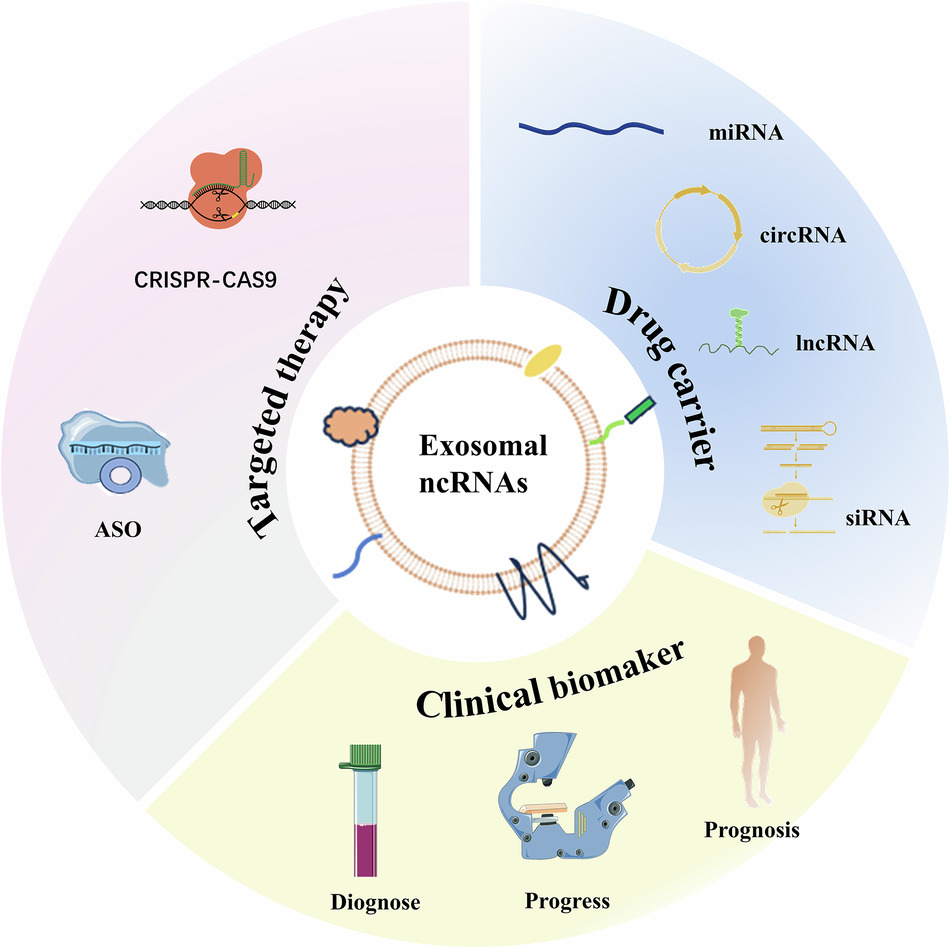 Fig. 3: Potential clinical applications of exosomal ncRNAs.