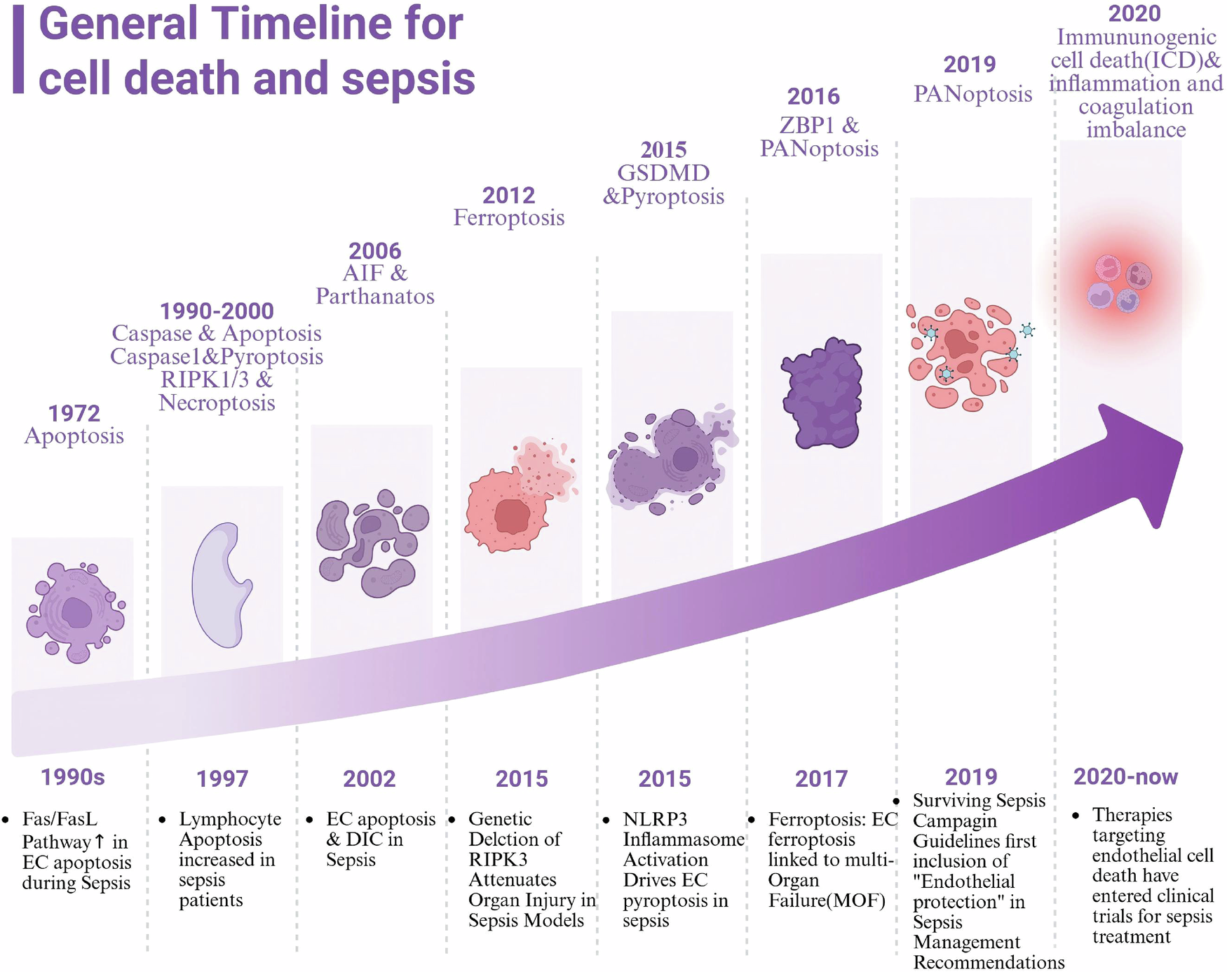 Fig. 1: The evolution of the PCD concept.