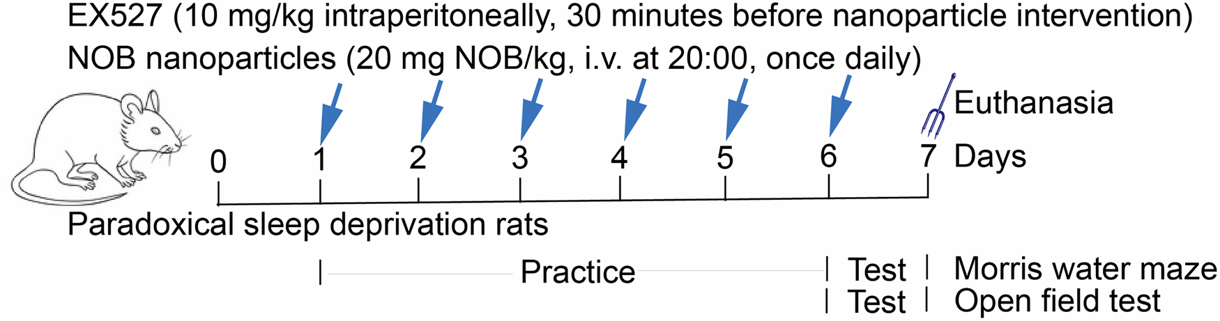 Fig. 7: Flow chart of animal experiment.