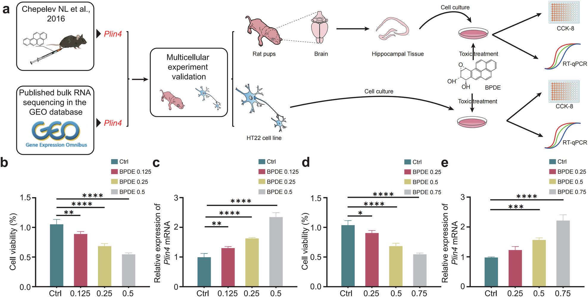 Fig. 3: Expression of Plin4 in B[a]P-induced hippocampal neuronal death.