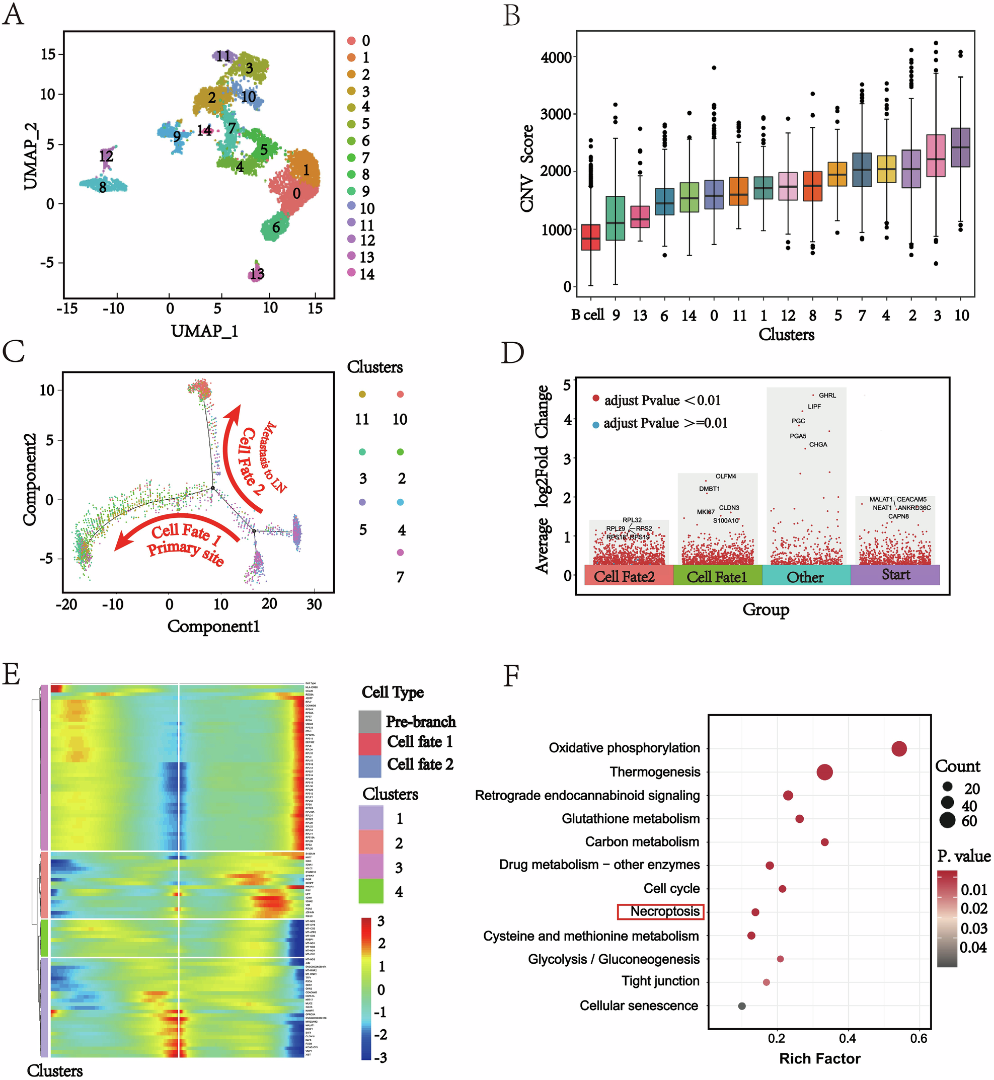 Fig. 3: Single-cell analysis of the metastatic mechanism of gastric cancer to lymph nodes.